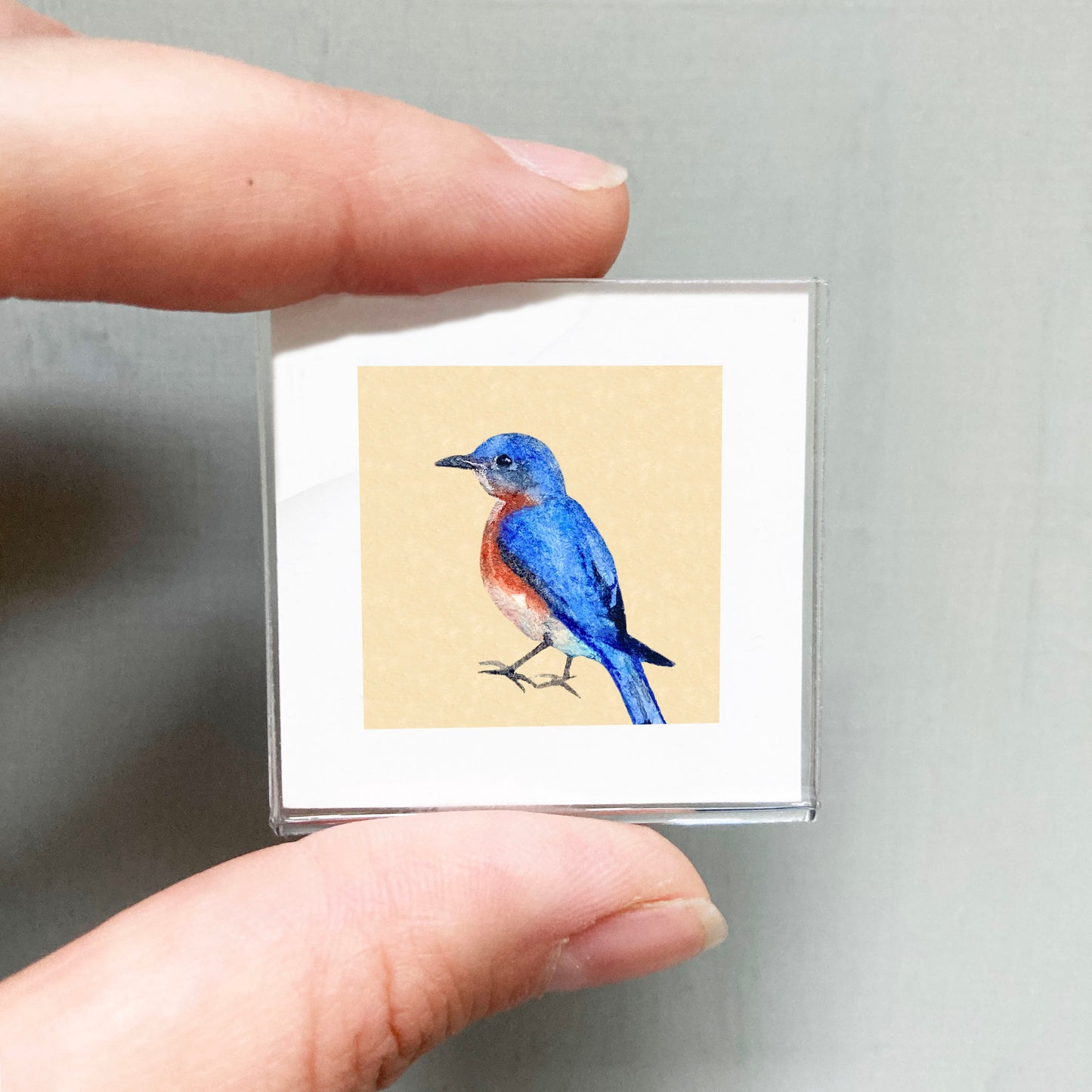 Mini 1" Bluebird Watercolor Print