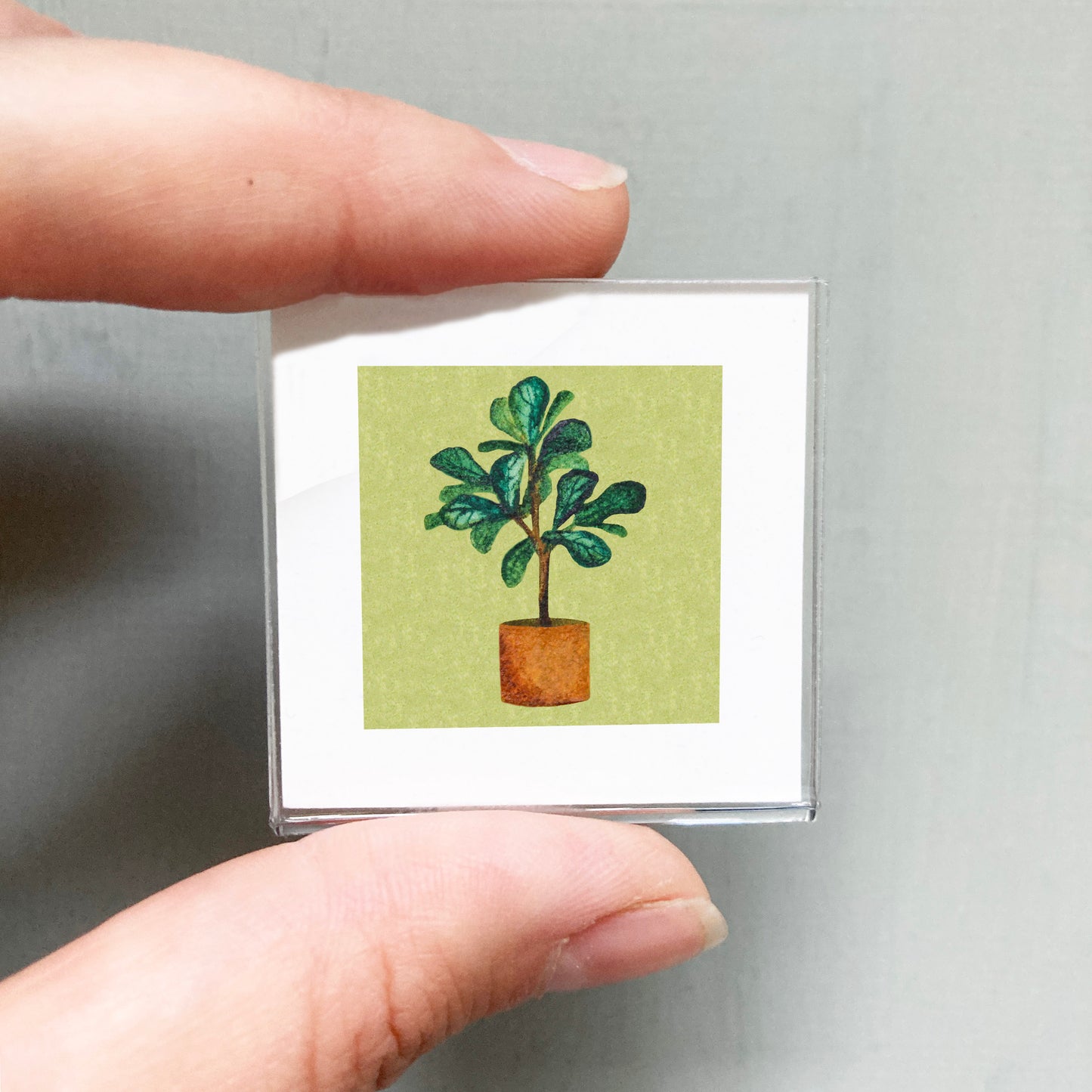 Mini 1" Fiddle-Leaf Fig Houseplant Watercolor Print