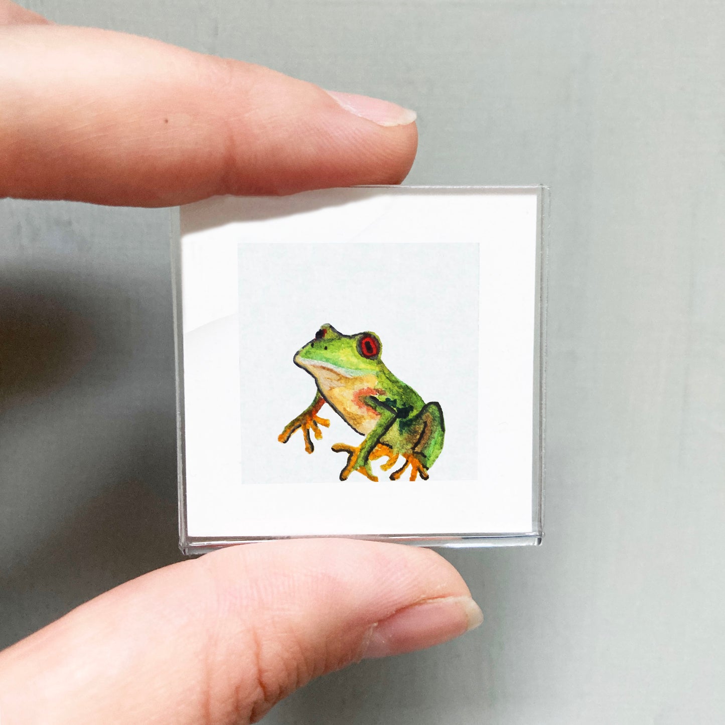 Mini 1" Tree Frog Watercolor Print