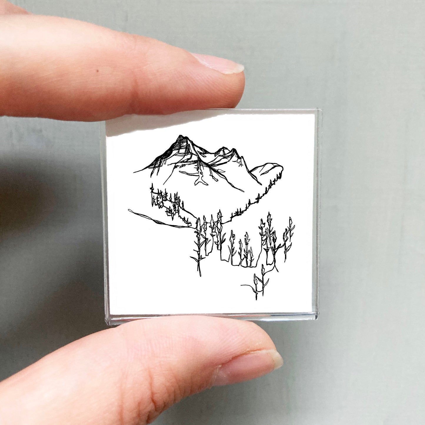Mini Glacier National Park, Montana Print