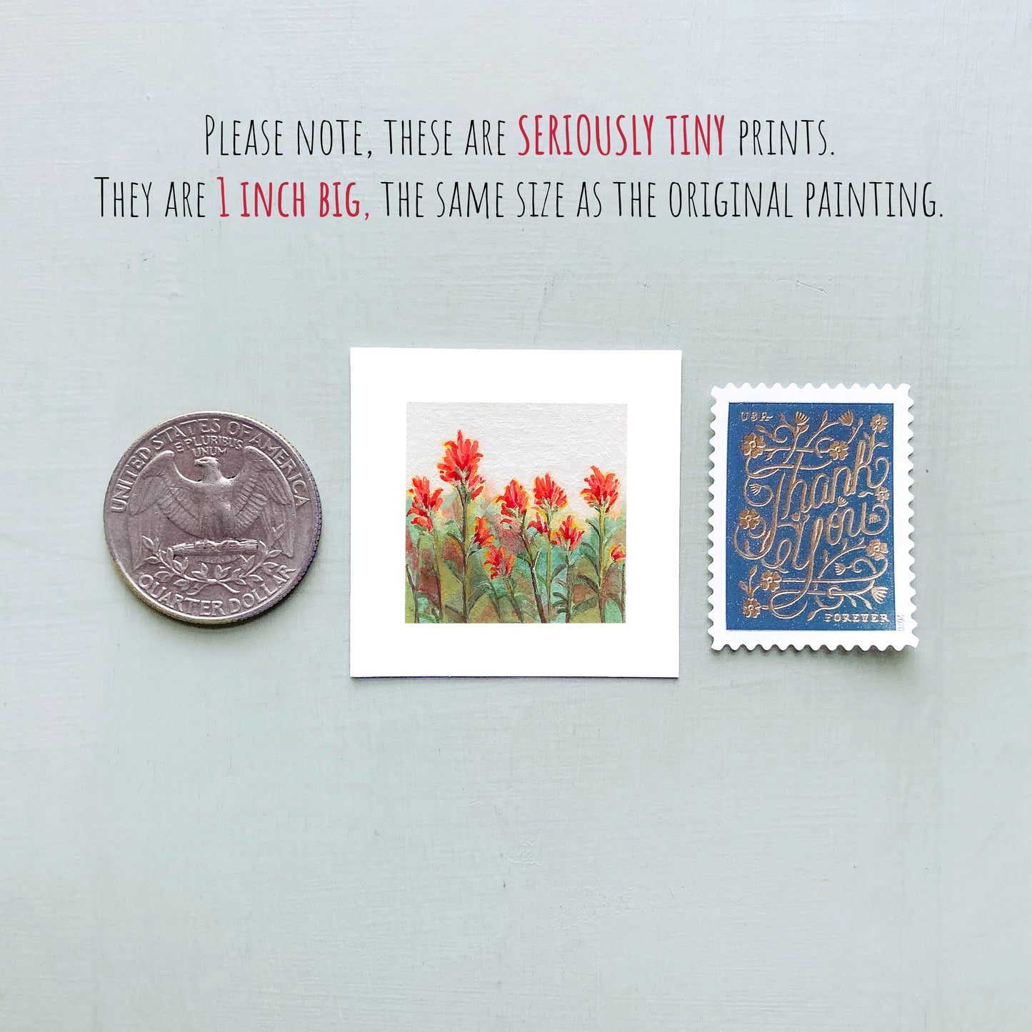 Mini 1" Indian Paintbrush Flower Gouache Print