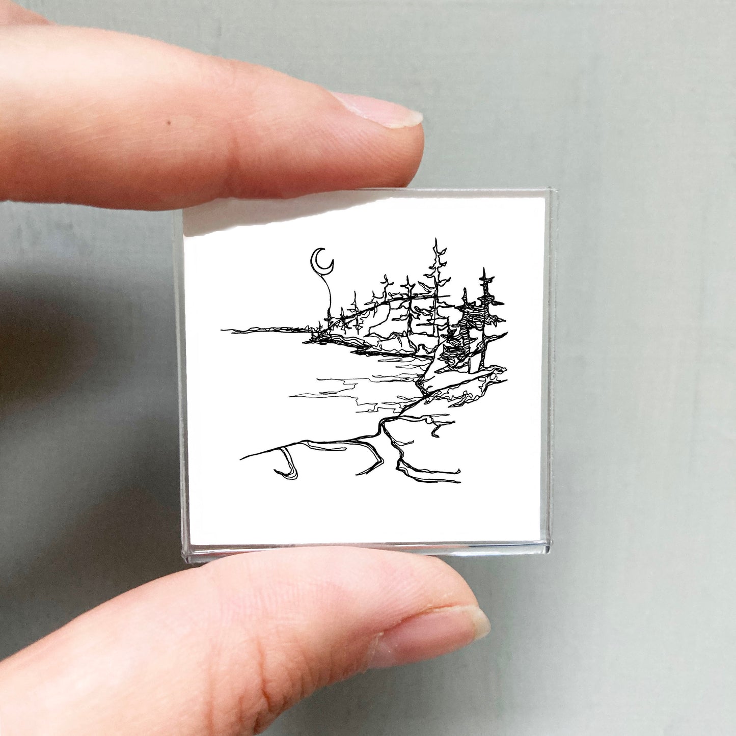 Mini Isle Royale National Park, Michigan Print