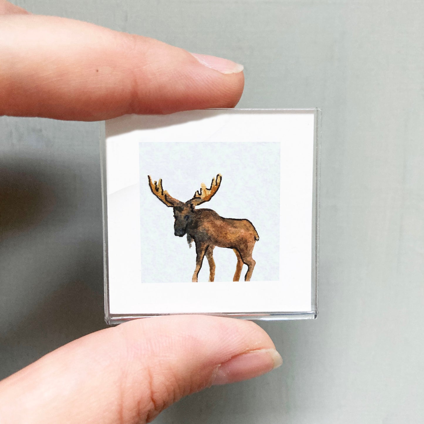 Mini 1" Moose Watercolor Print