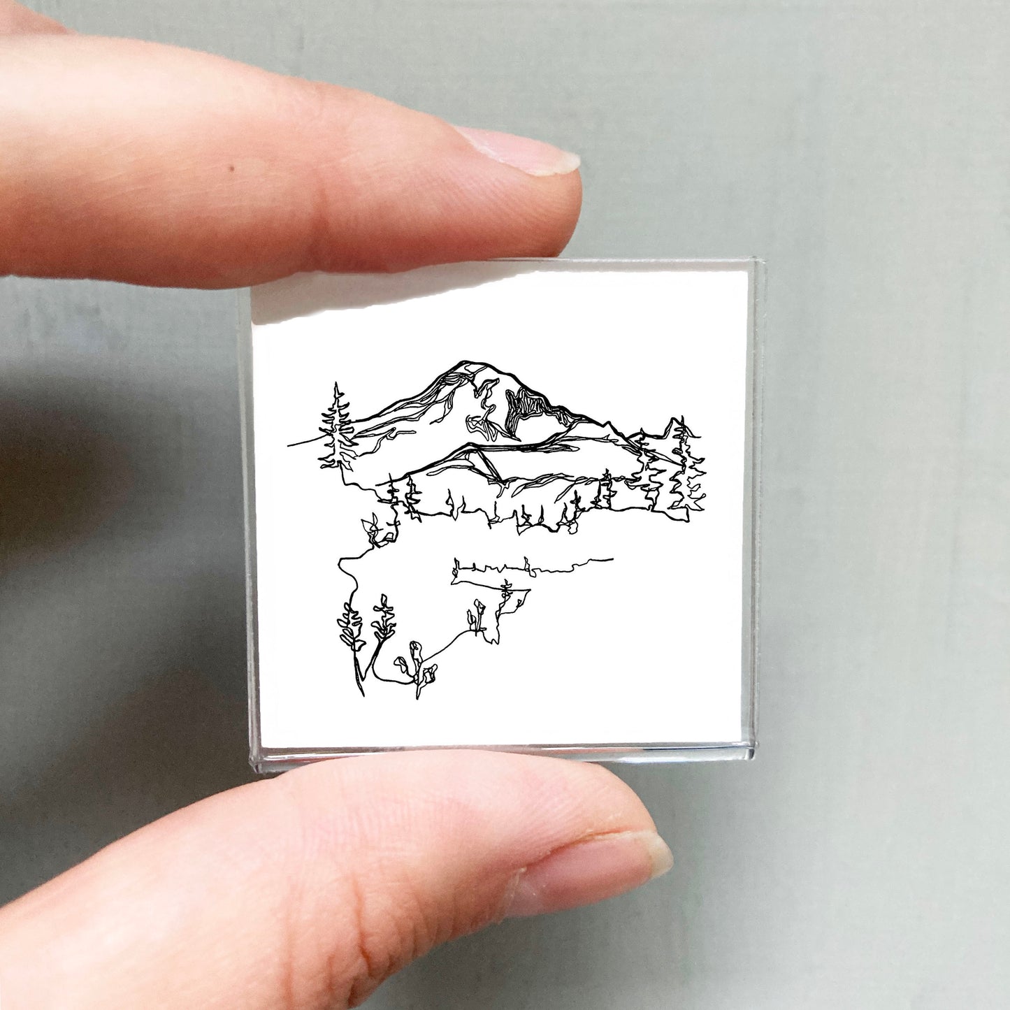 Mini Mount Rainier National Park, Washington Print