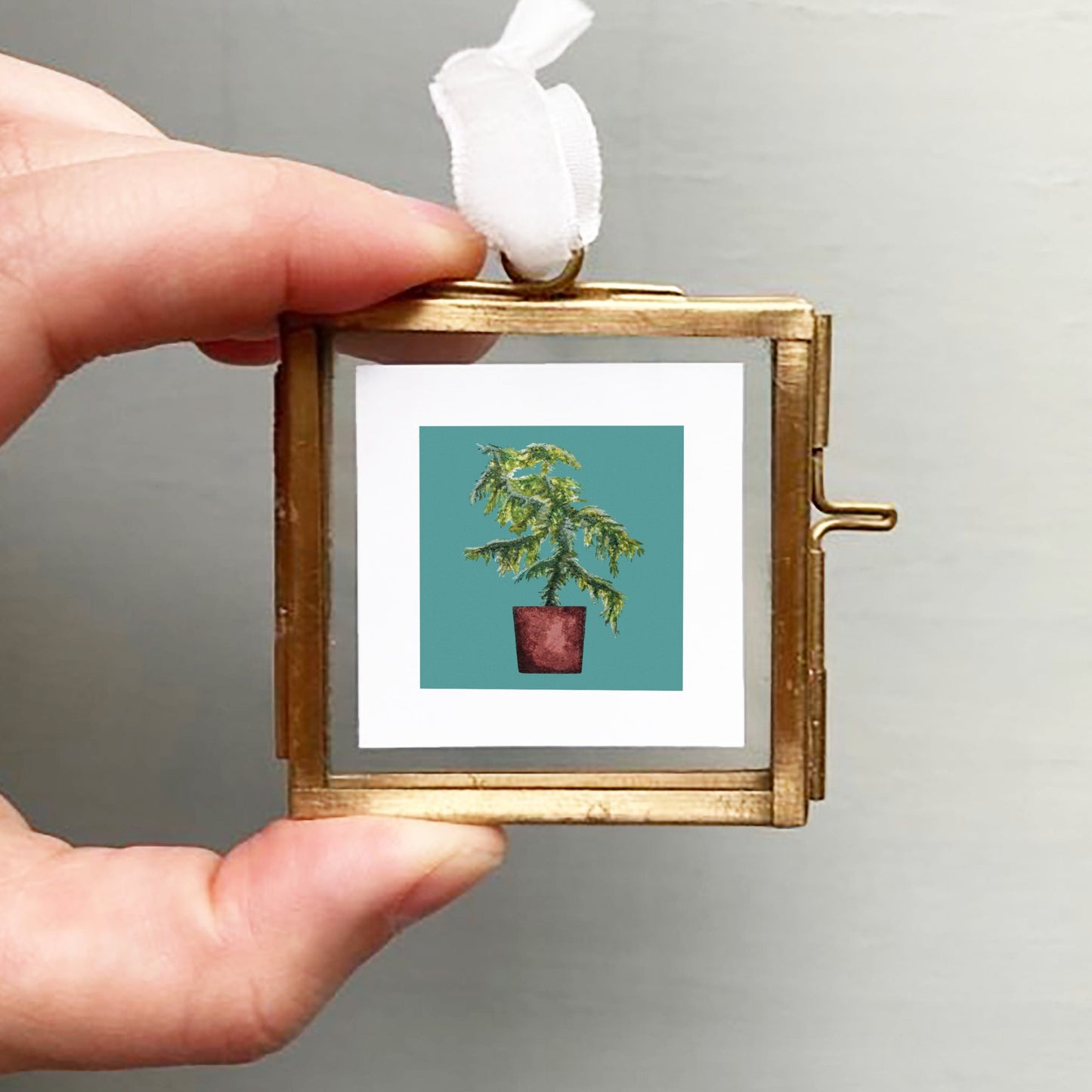 ORIGINAL Mini 1" Norfolk Island Pine Houseplant Watercolor Painting