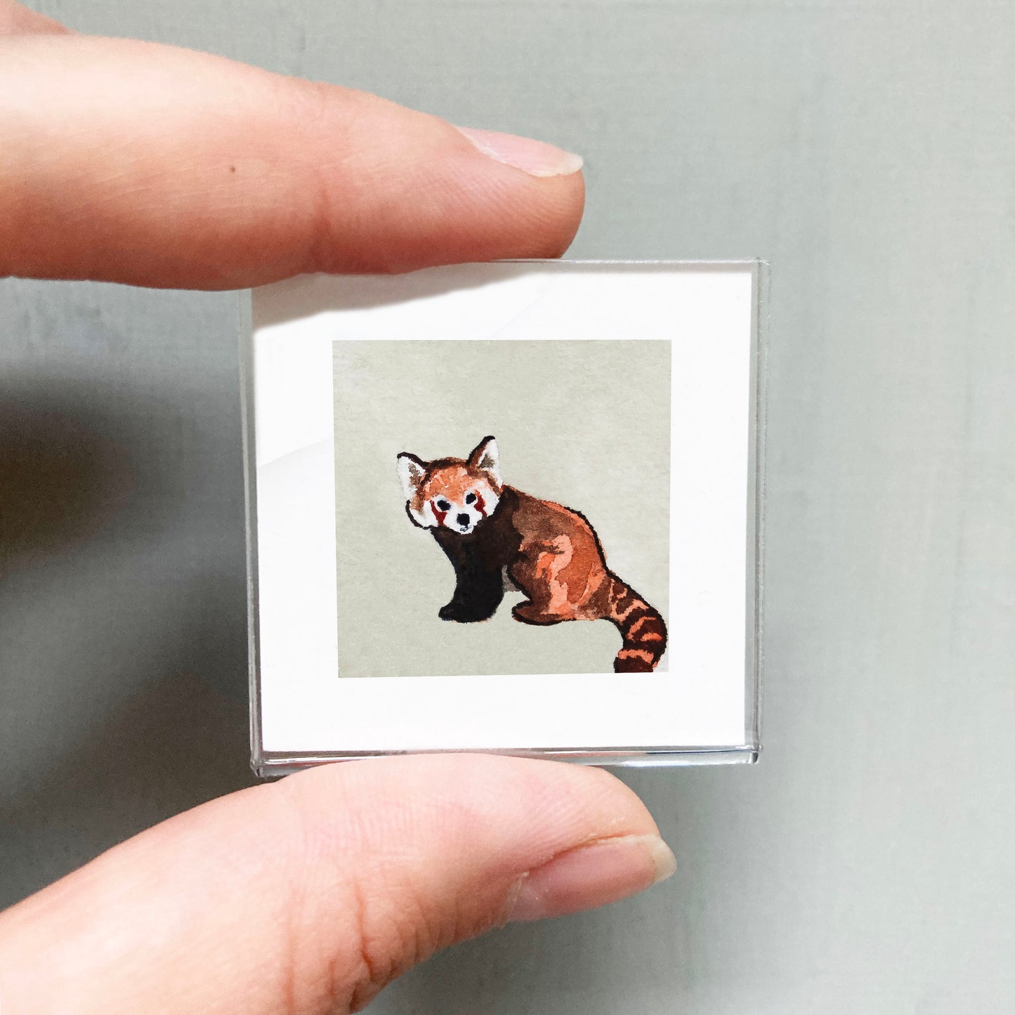 Mini 1" Red Panda Watercolor Print