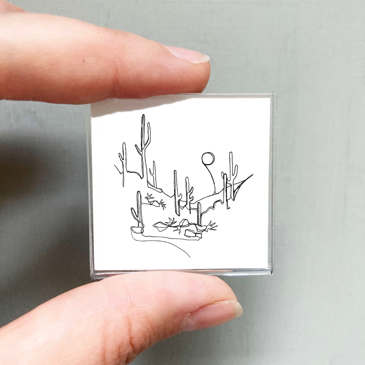 Mini Saguaro National Park, Arizona Print