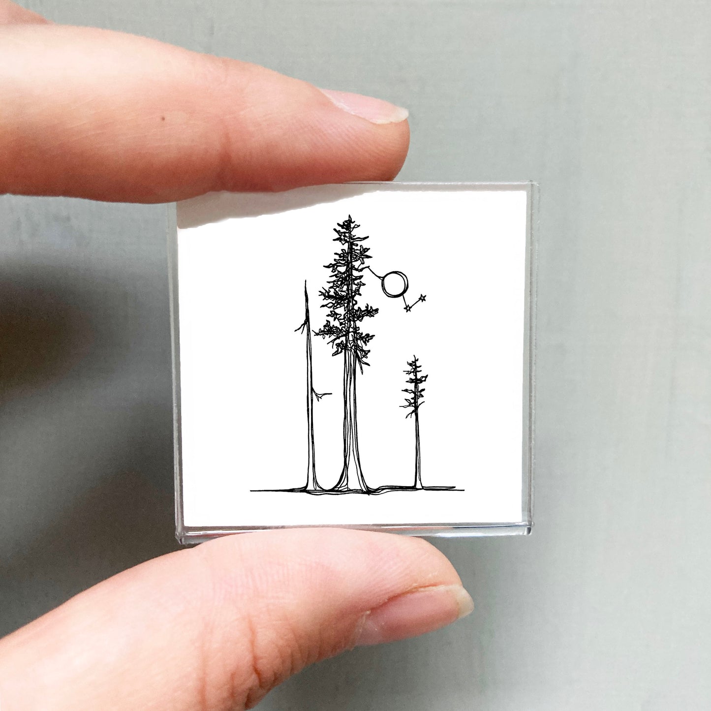 Mini Sequoia National Park, California Print