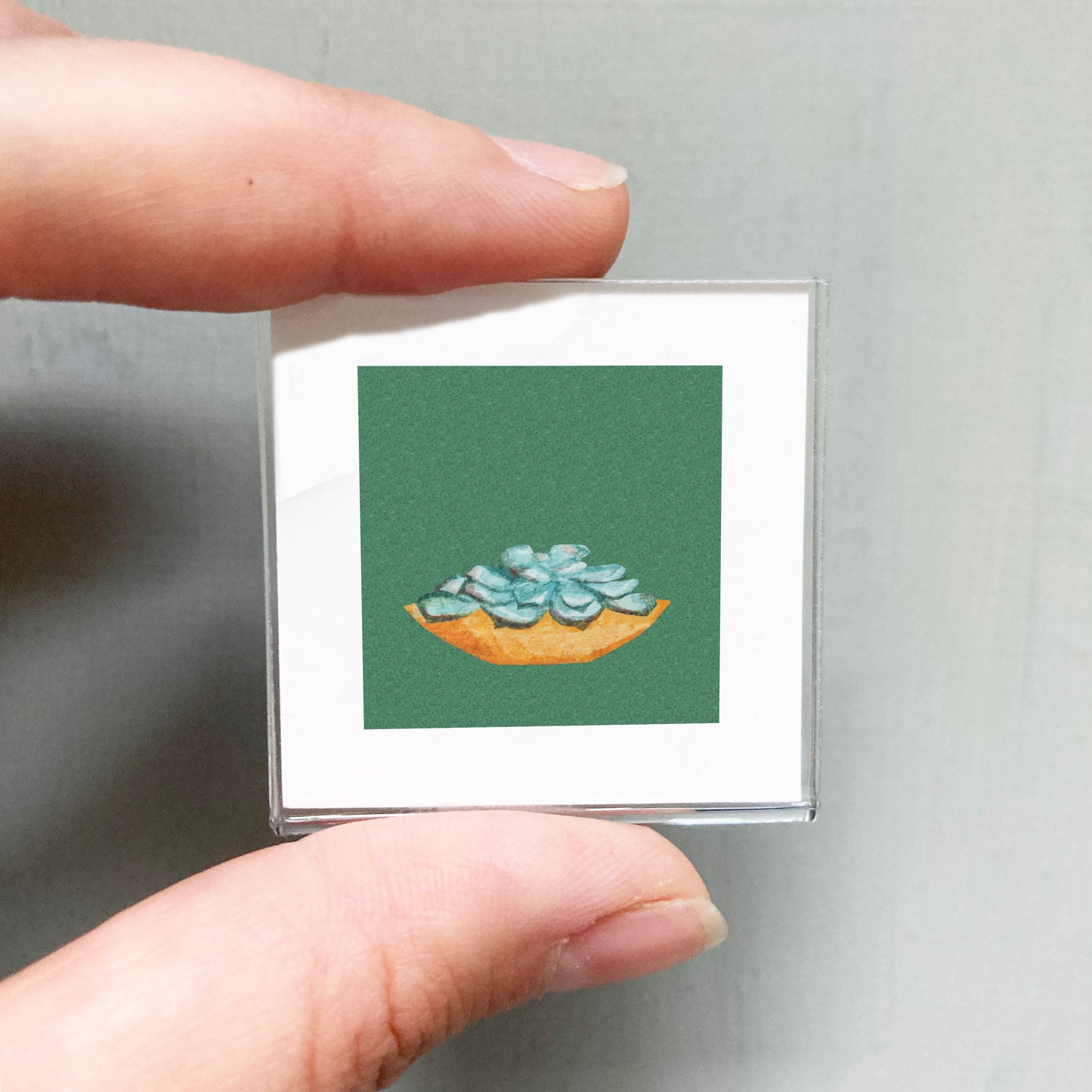 Mini 1" Succulent Houseplant Watercolor Print