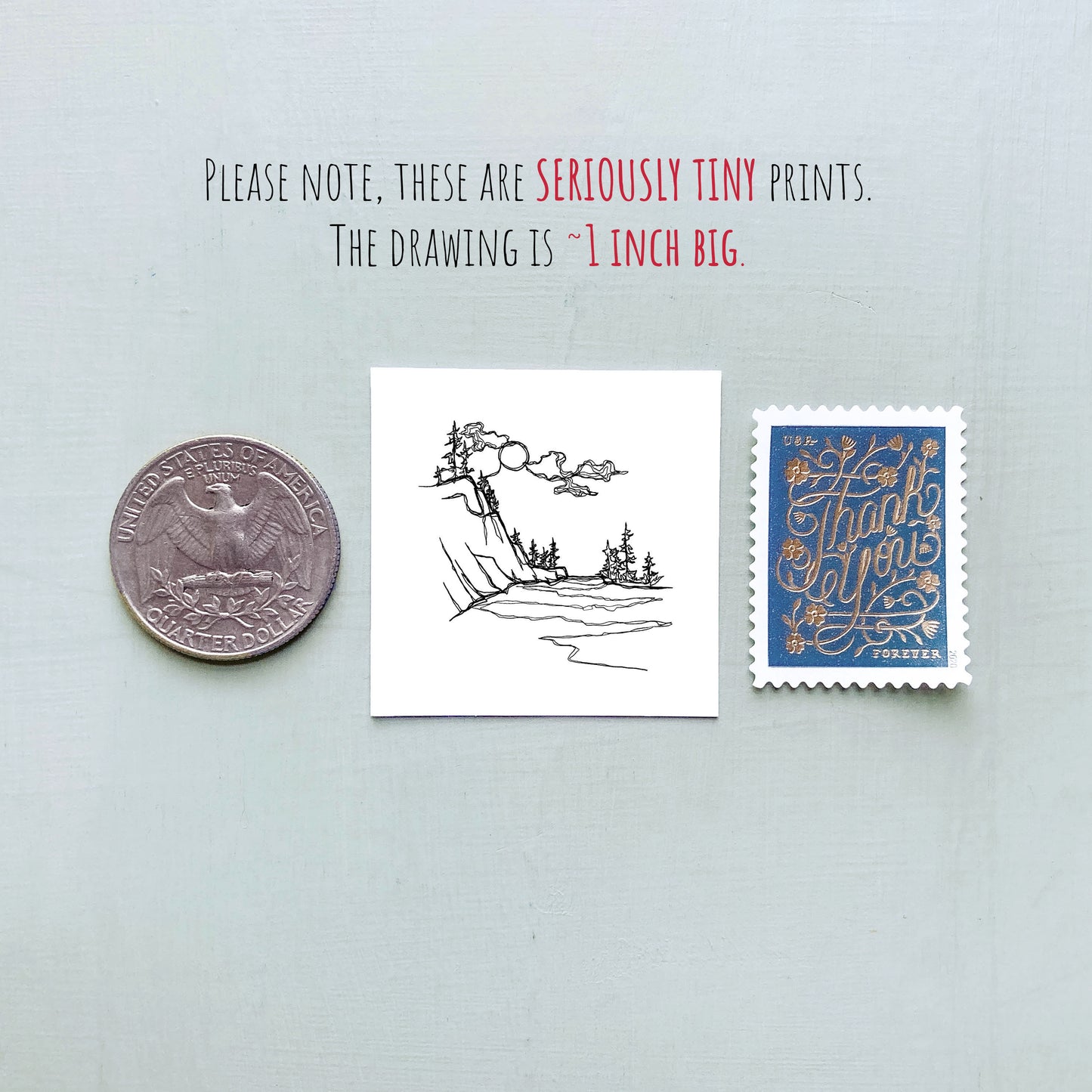 Mini Voyageurs National Park, Minnesota Print