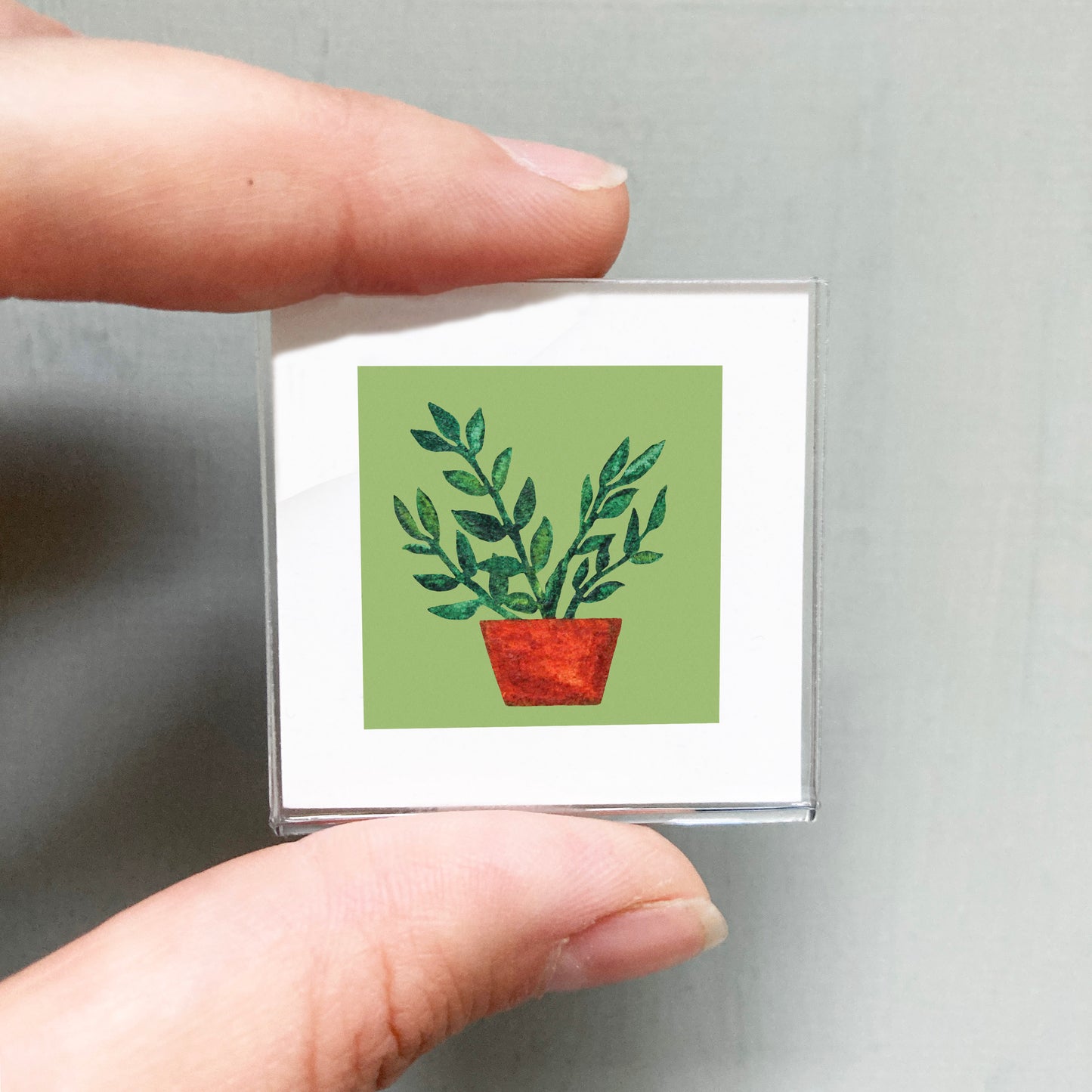 Mini 1" ZeeZee Zanzibar Gem Houseplant Watercolor Print