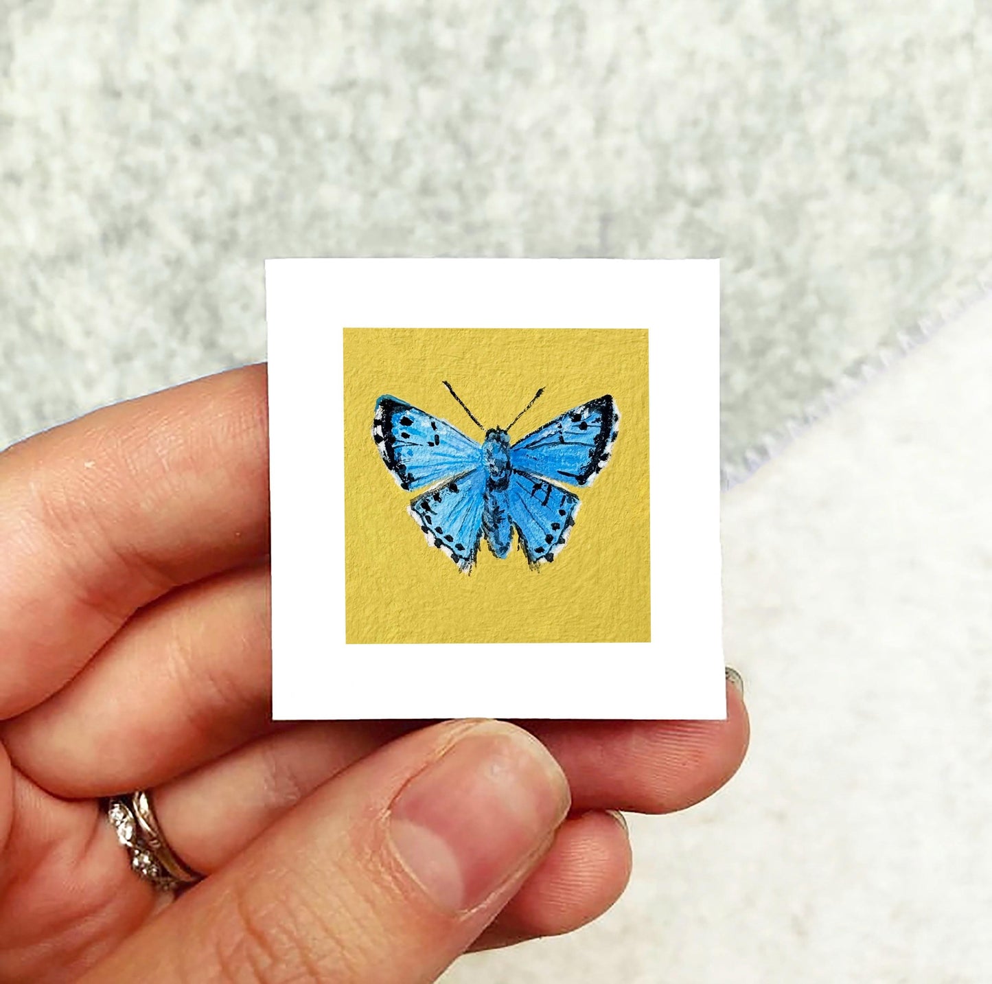 Mini 1" Blue Metalmark Butterfly Animal Print Tiny Watercolor Art PRINT
