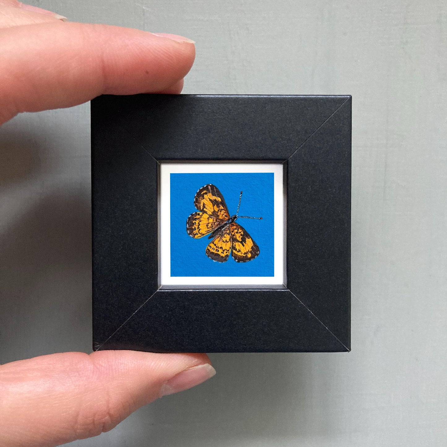 Mini 1" Silvery Checkerspot Butterfly Insect Print Tiny Watercolor Art PRINT