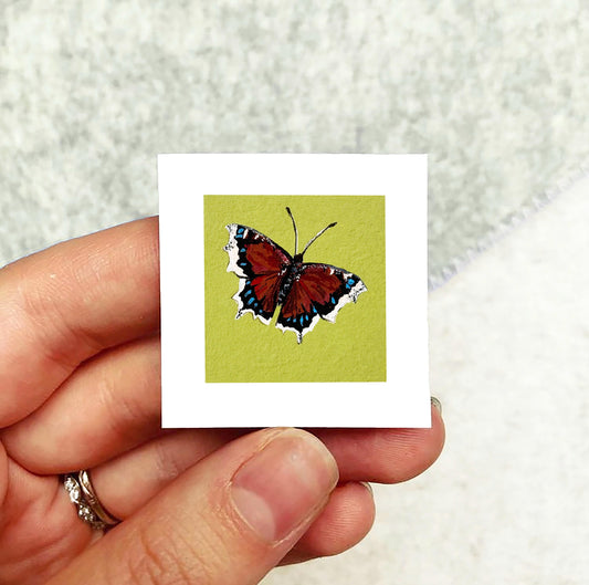 Mini 1" Mourning Cloak Butterfly Insect Print Tiny Watercolor  Art PRINT