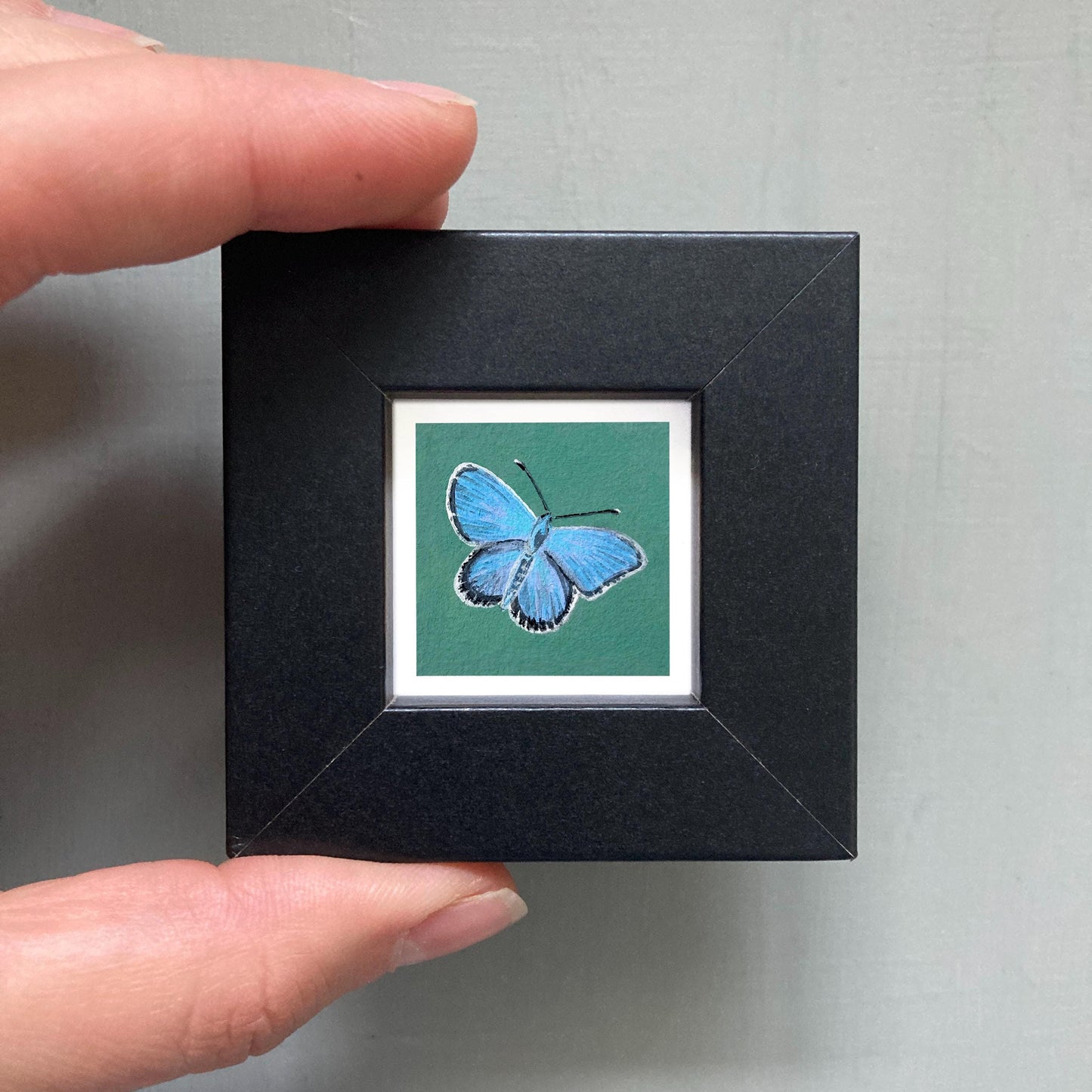 Mini 1" Common Blue Butterfly Insect Print Tiny Watercolor Art PRINT