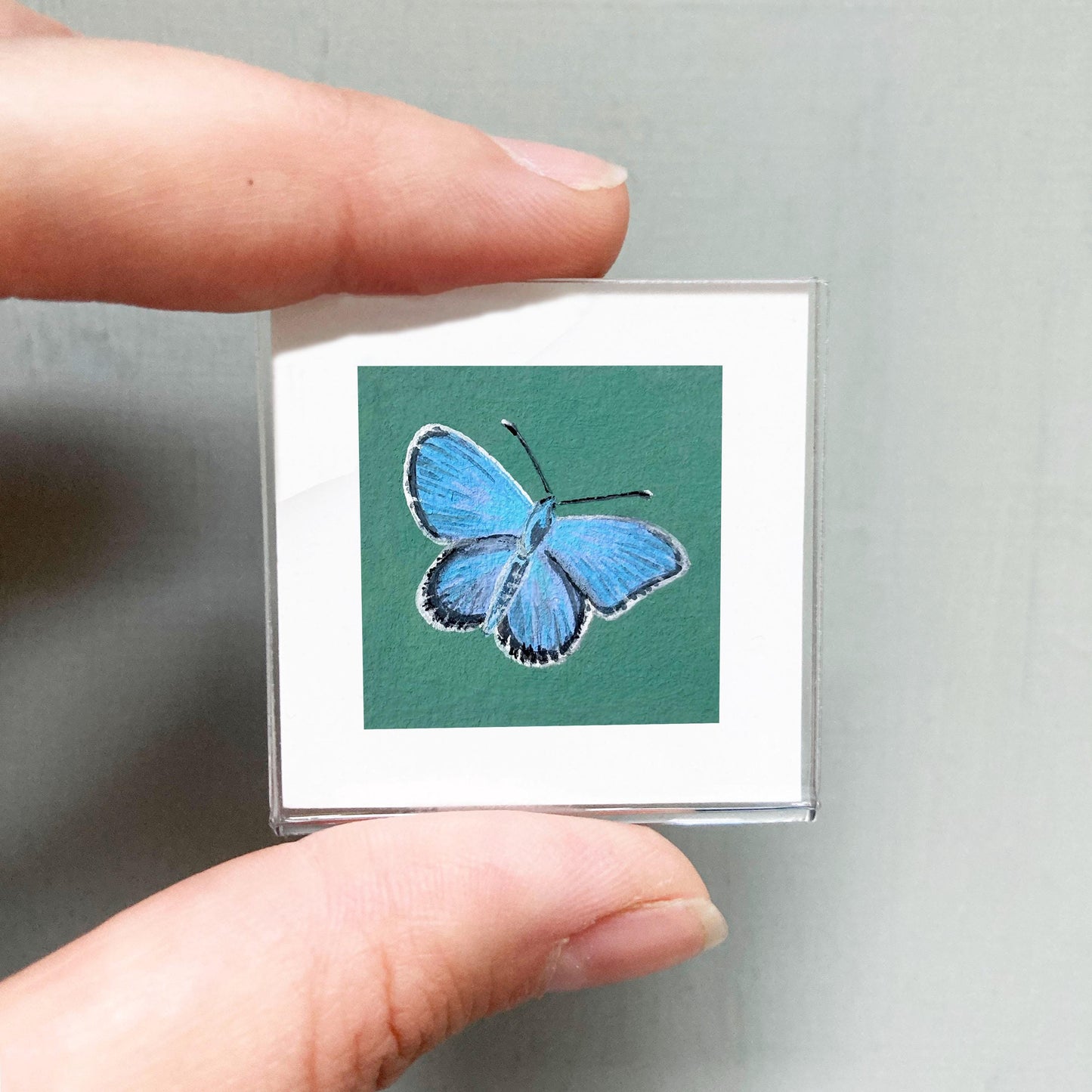 Mini 1" Common Blue Butterfly Insect Print Tiny Watercolor Art PRINT