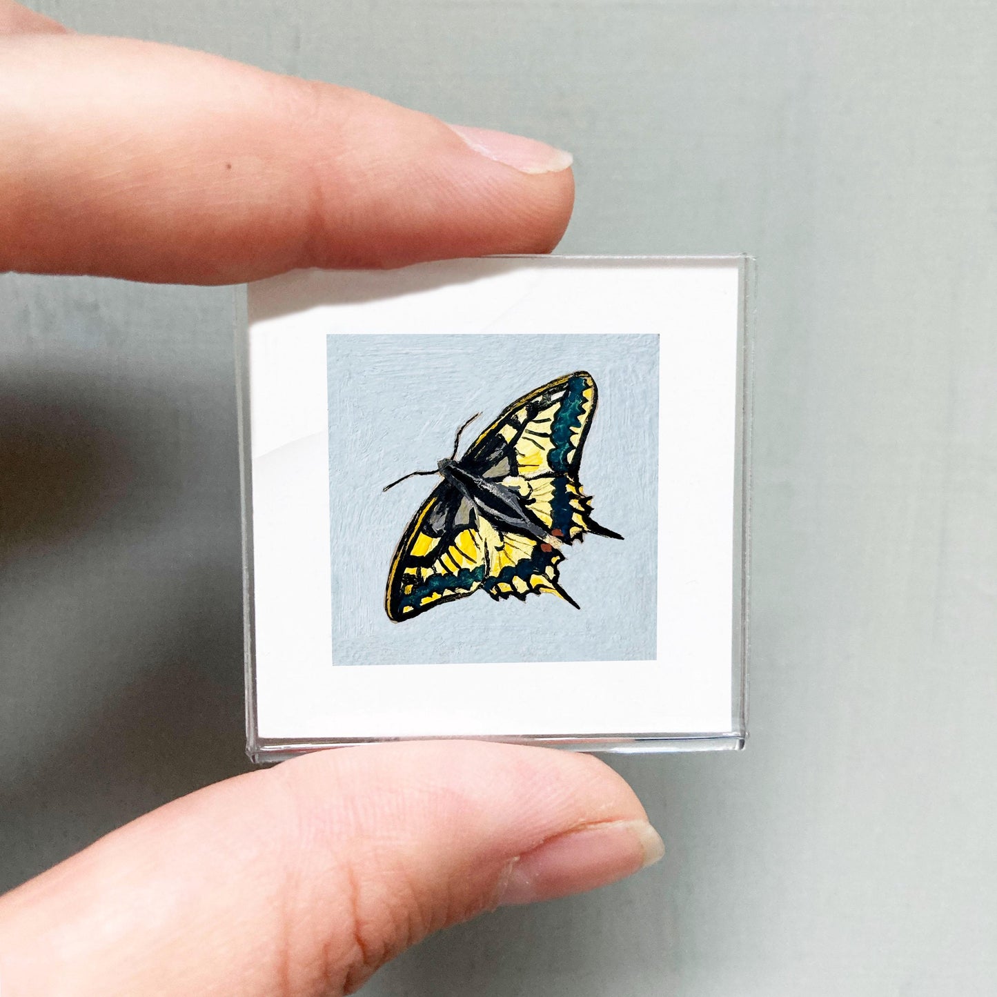 Mini 1" Swallowtail Butterfly Animal Print Tiny Watercolor Art PRINT