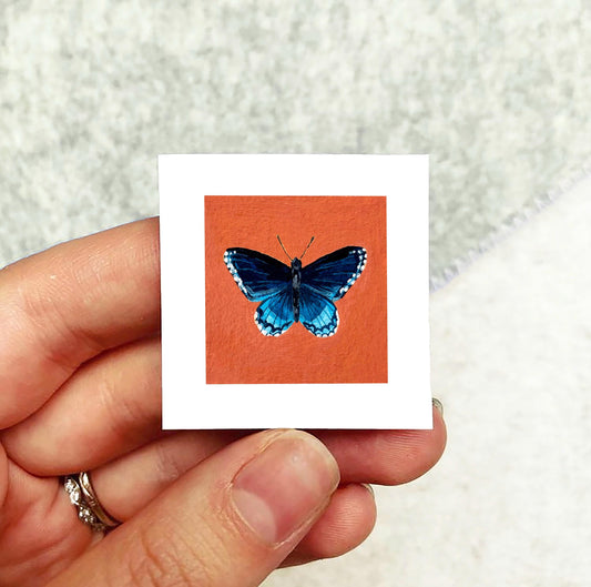 Mini 1" Red Spotted Purple Butterfly Animal Print Tiny Watercolor  Art PRINT