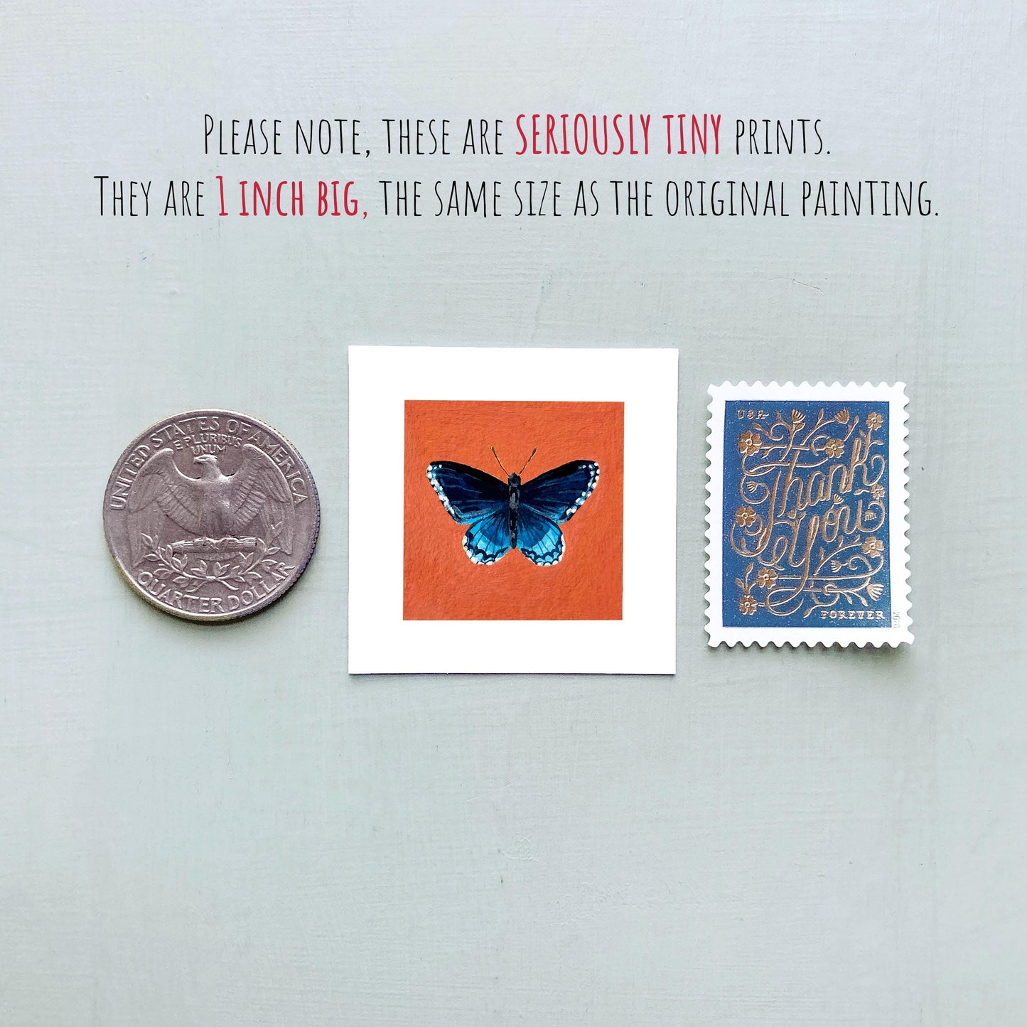 Mini 1" Red Spotted Purple Butterfly Animal Print Tiny Watercolor Art PRINT
