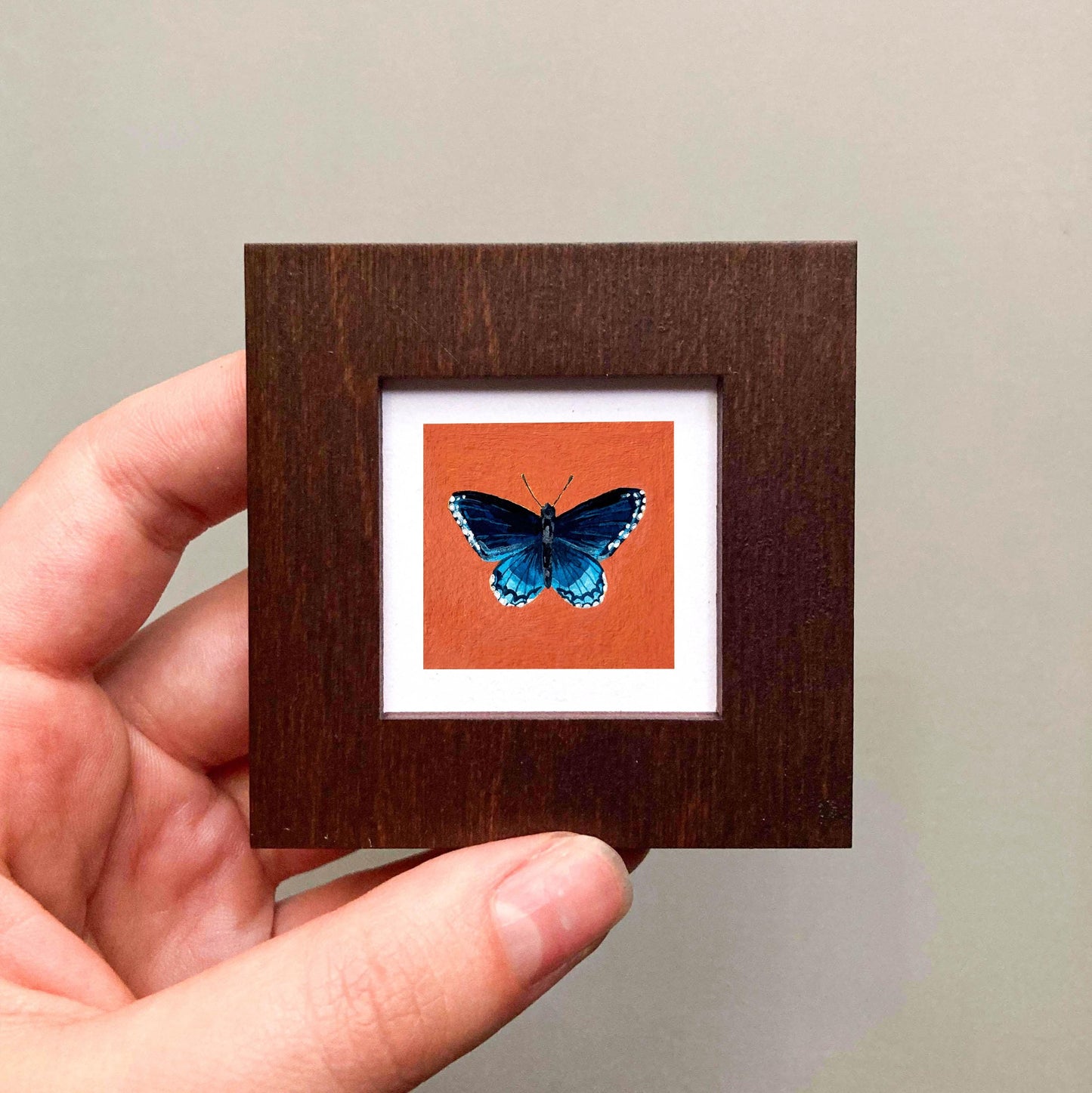 Mini 1" Red Spotted Purple Butterfly Animal Print Tiny Watercolor Art PRINT