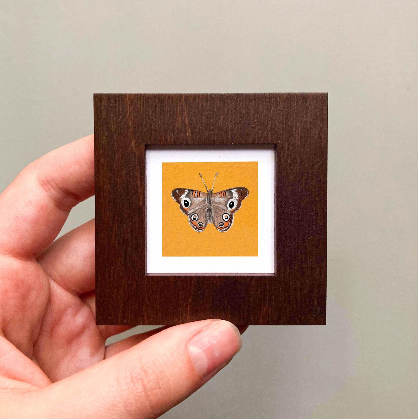 Mini 1" Common Buckeye Butterfly Insect Print Tiny Watercolor Art PRINT