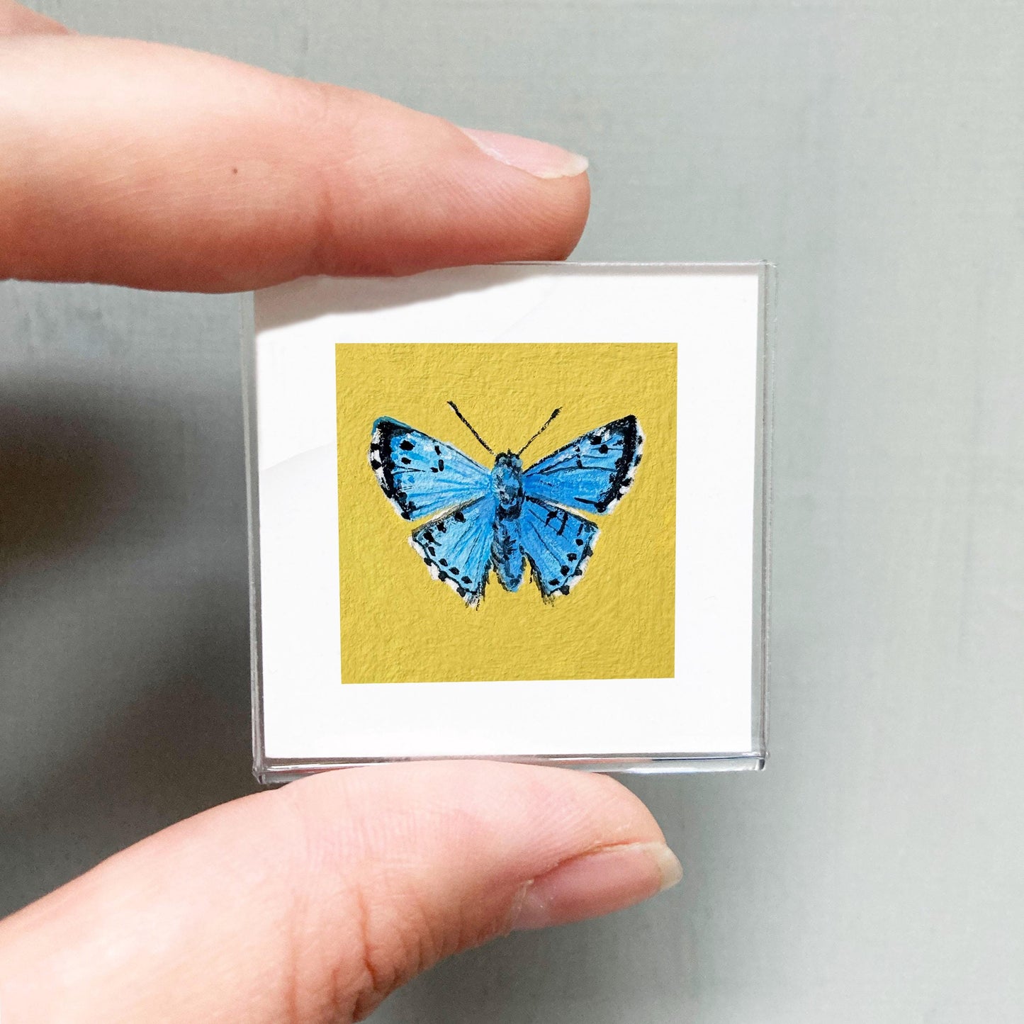 Mini 1" Blue Metalmark Butterfly Animal Print Tiny Watercolor Art PRINT