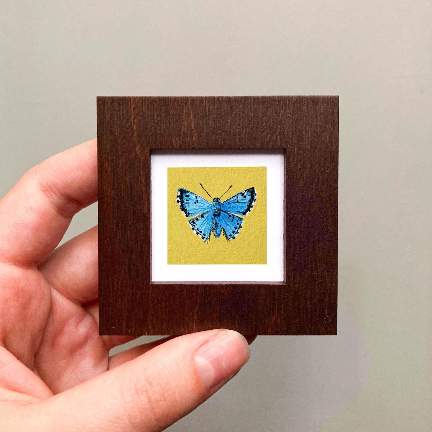 Mini 1" Blue Metalmark Butterfly Animal Print Tiny Watercolor Art PRINT