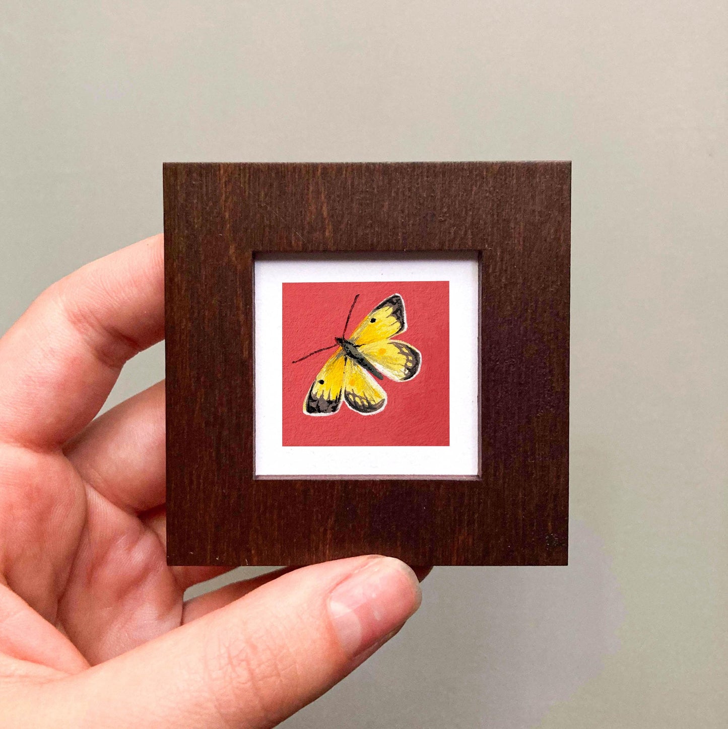 Mini 1" Orange Sulphur Butterfly Insect Print Tiny Watercolor Art PRINT