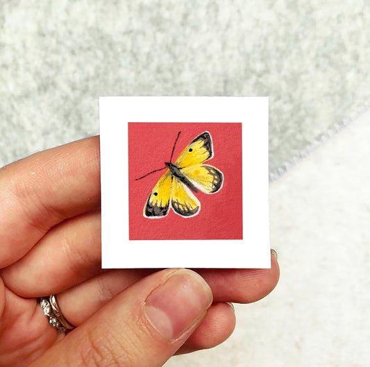 Mini 1" Orange Sulphur Butterfly Insect Print Tiny Watercolor  Art PRINT