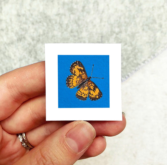Mini 1" Silvery Checkerspot Butterfly Insect Print Tiny Watercolor  Art PRINT