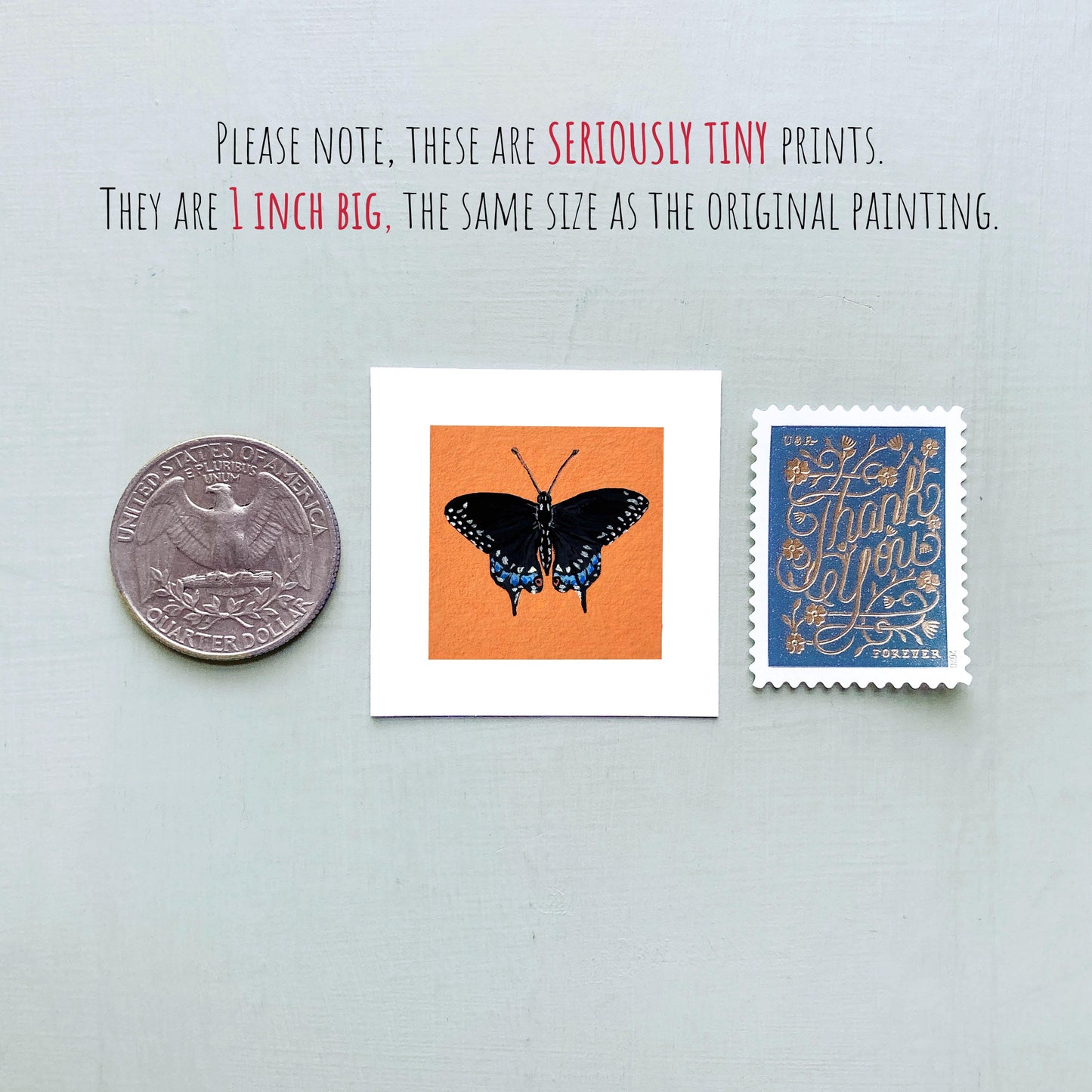 Mini 1" Black Swallowtail Butterfly Insect Print Tiny Watercolor Art PRINT