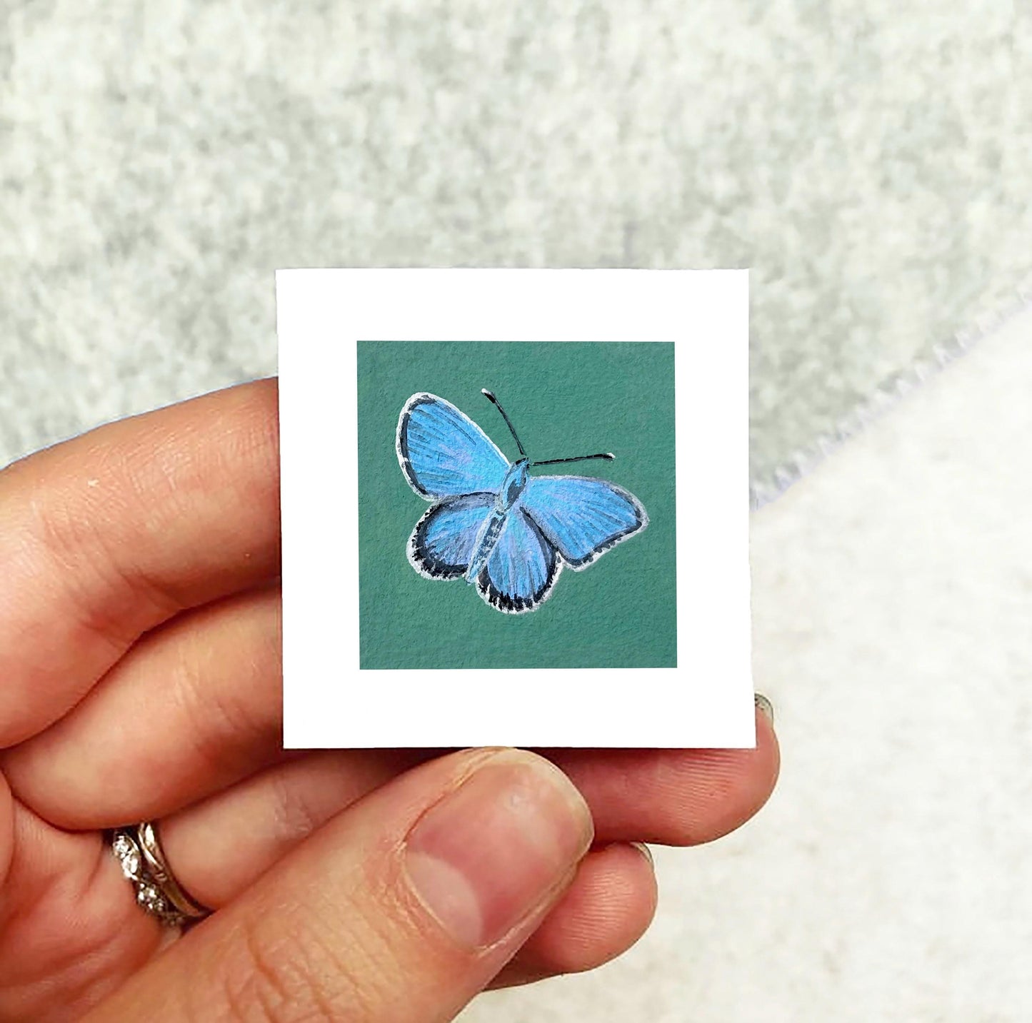 Mini 1" Common Blue Butterfly Insect Print Tiny Watercolor Art PRINT