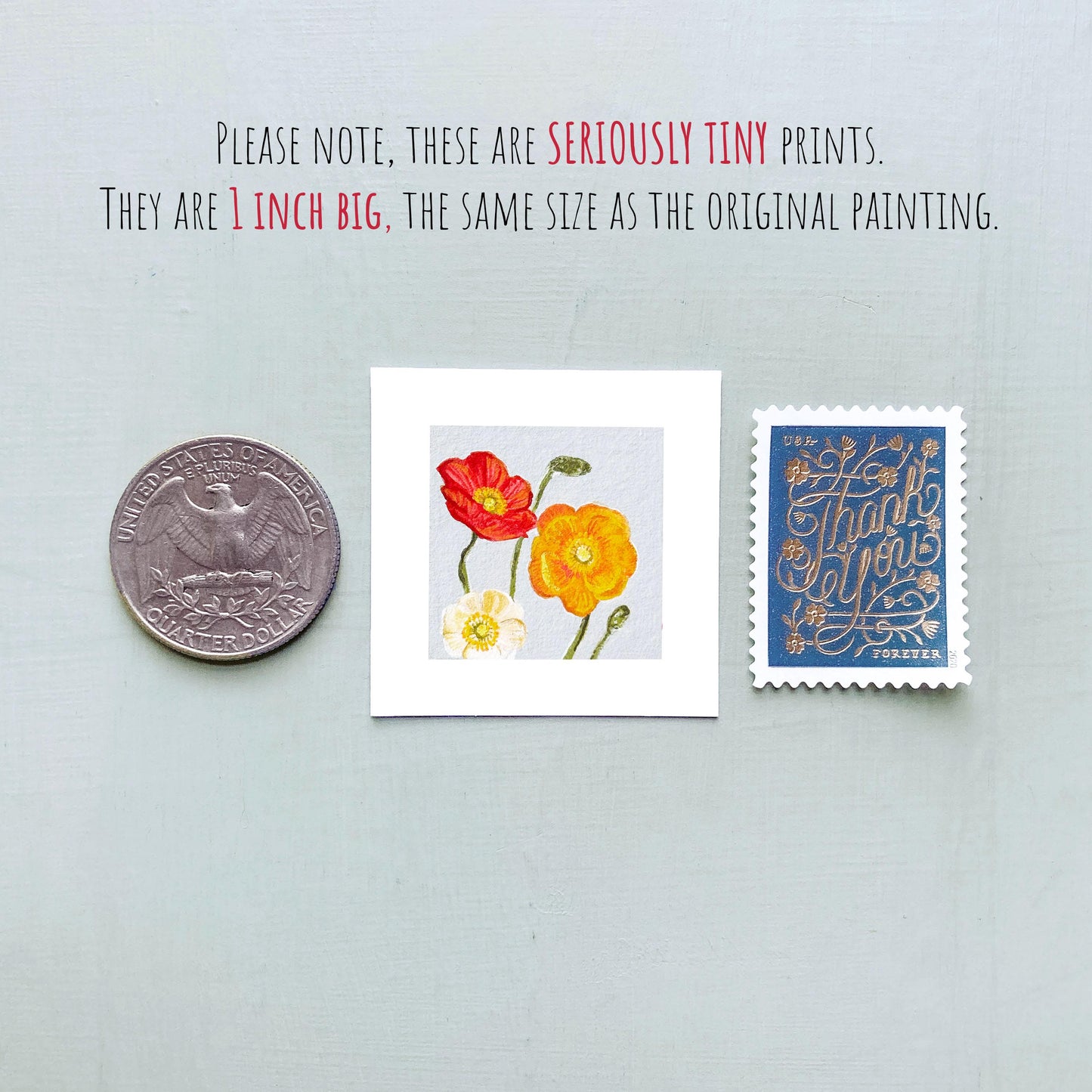Mini 1" Poppies August Flower Art PRINT