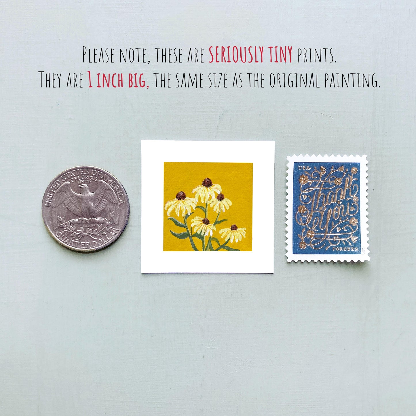 Mini 1" Coneflowers Black Eyed Susan Flower Art PRINT