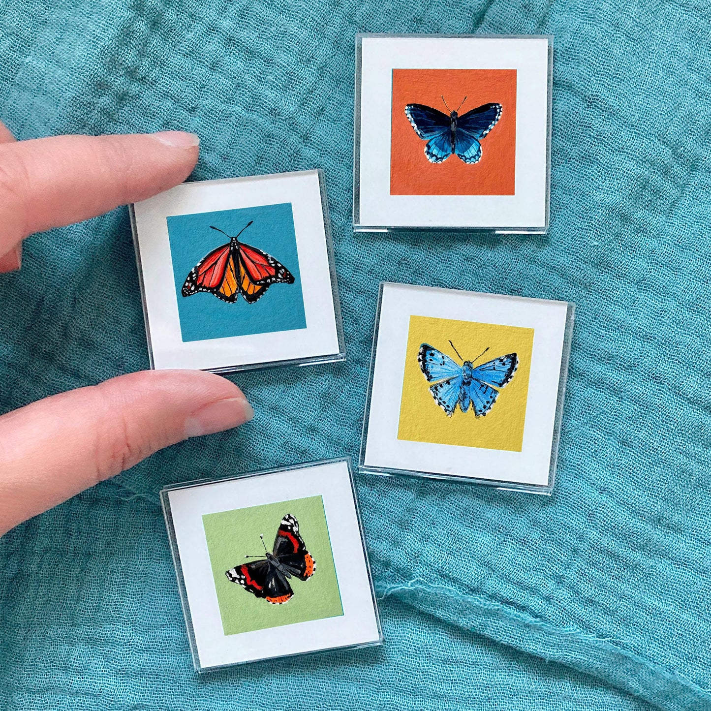 Set of 4 Tiny Butterfly Prints