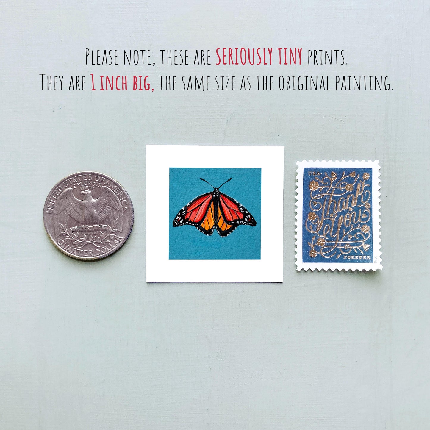Set of 4 Tiny Butterfly Prints
