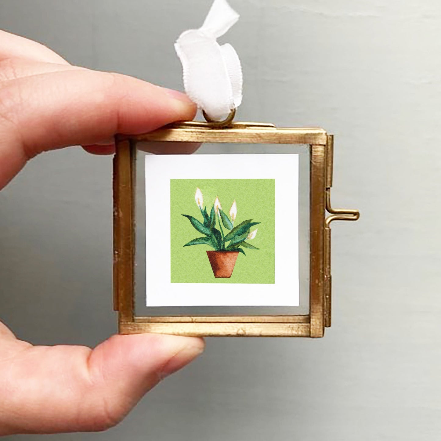 Mini 1" Peace Lily Houseplant Watercolor Plant