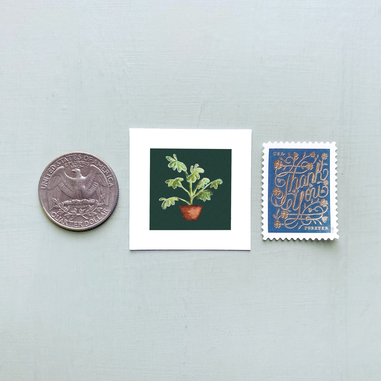 ORIGINAL Mini 1" Schefflera Umbrella Plant Watercolor Painting