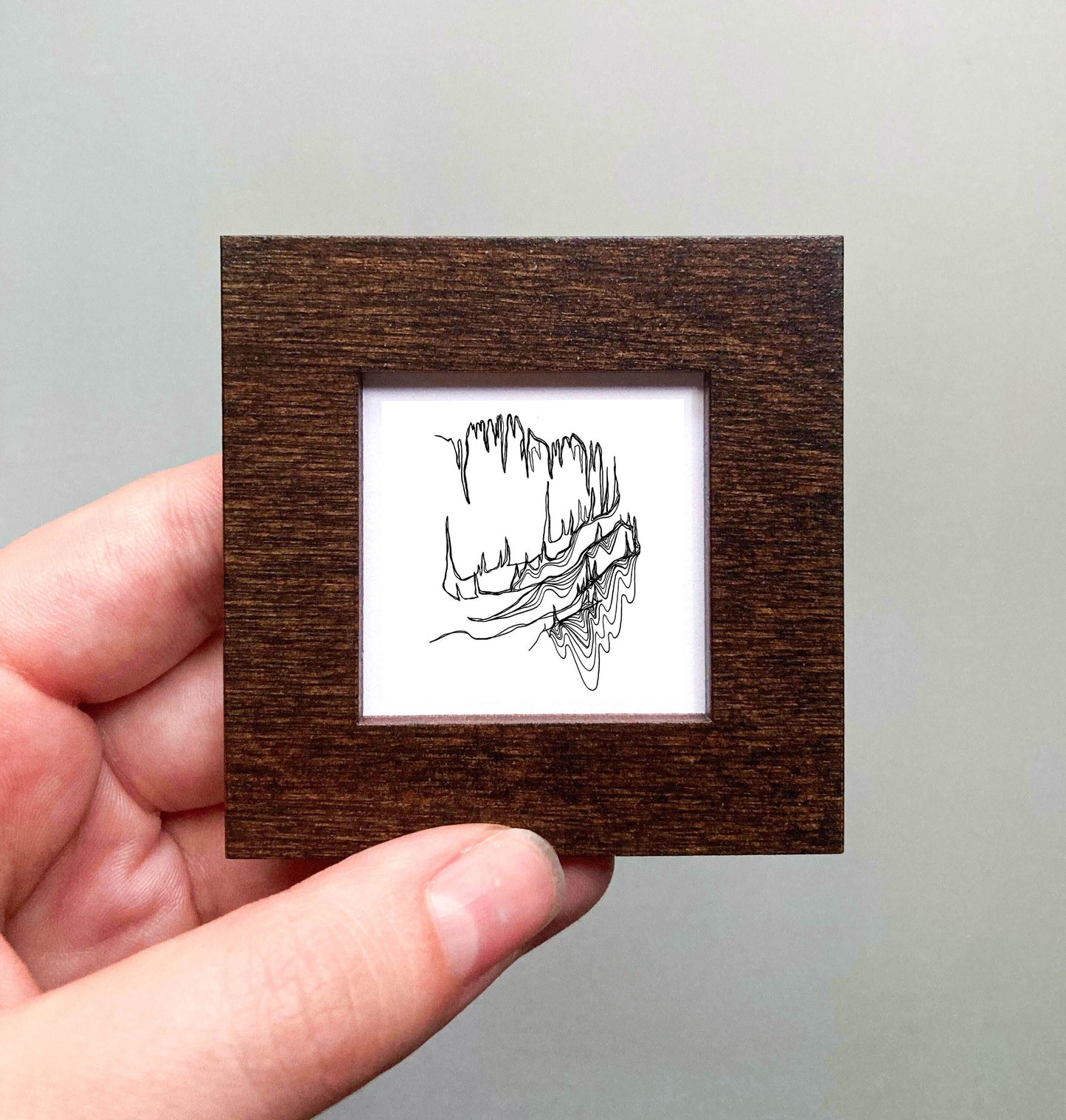 Mini Carlsbad Caverns National Park, New Mexico Print