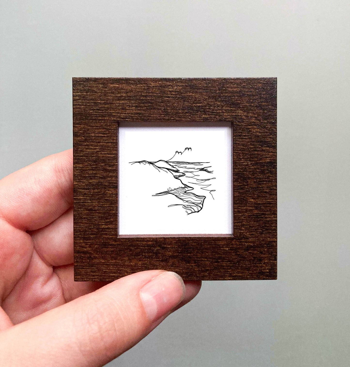 Mini Indiana Dunes National Park, Indiana Print