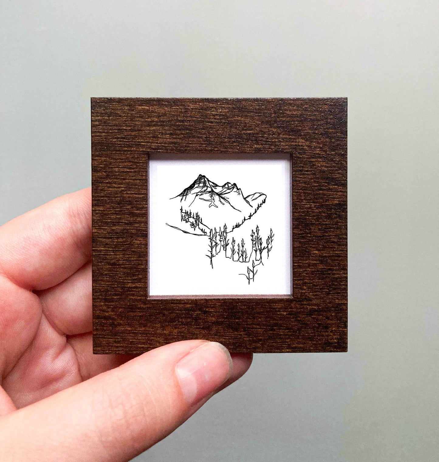Mini Glacier National Park, Montana Print