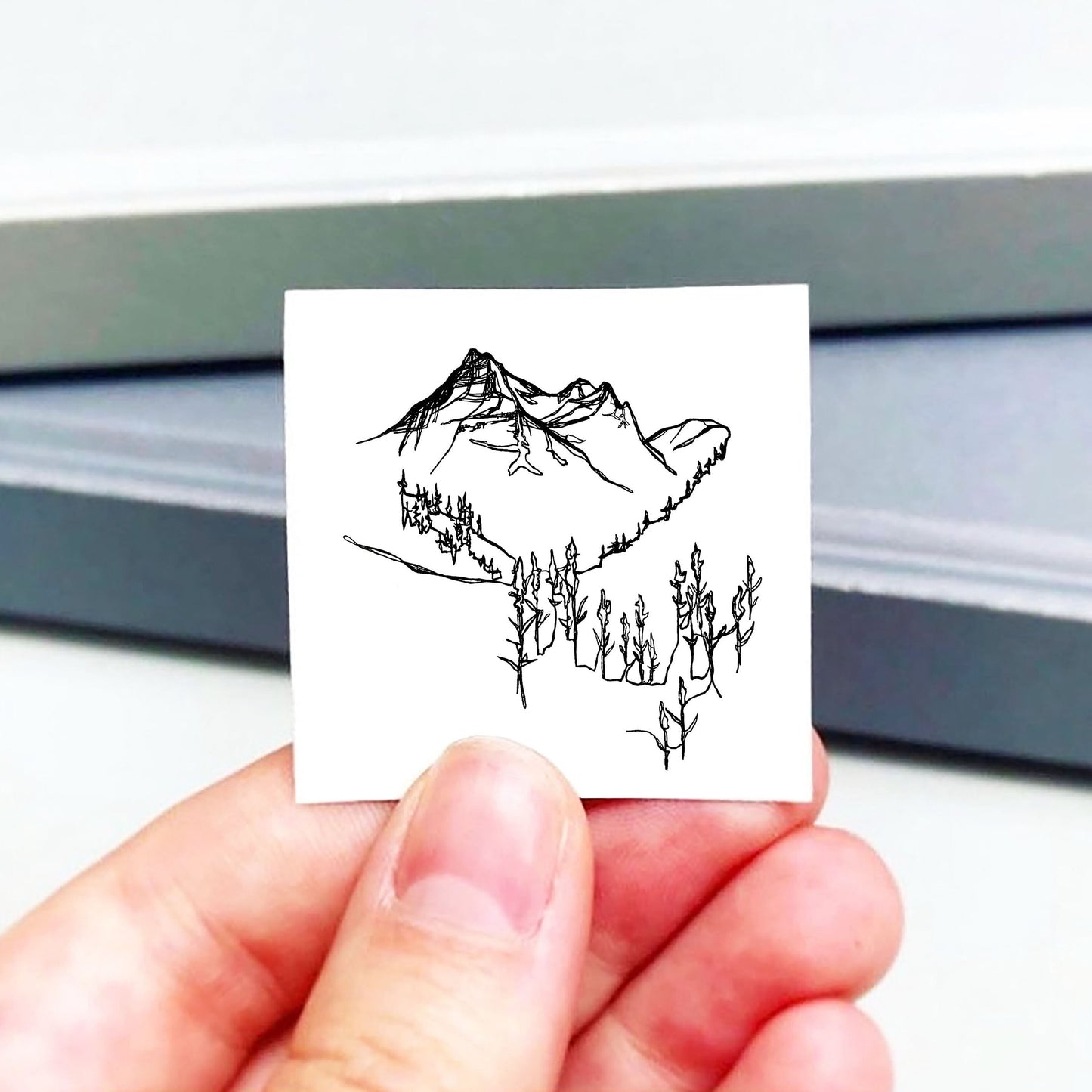 Mini Glacier National Park, Montana Print