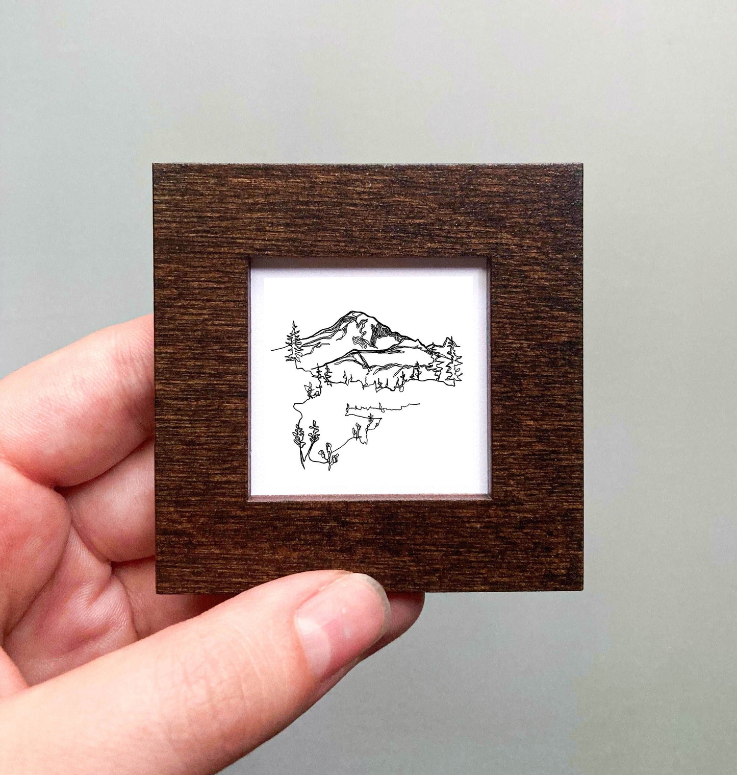 Mini Mount Rainier National Park, Washington Print