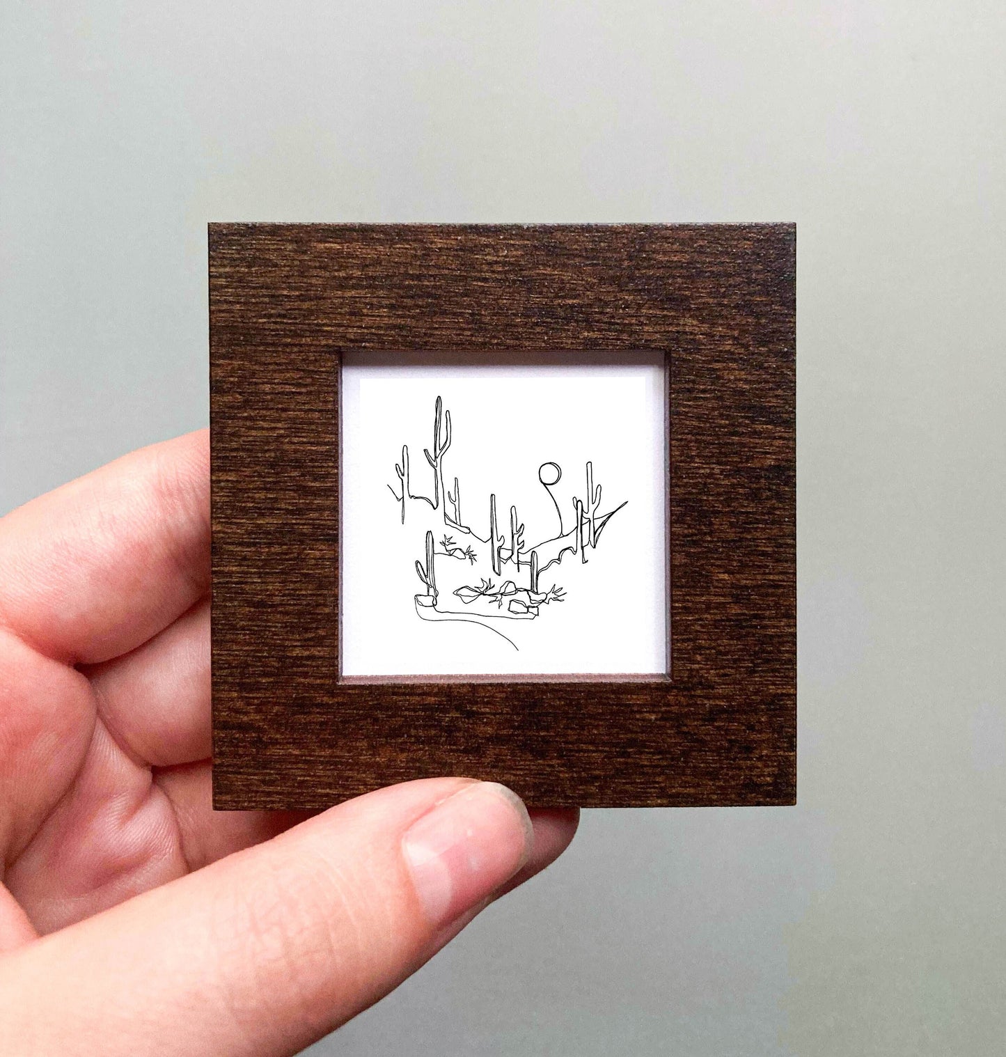 Mini Saguaro National Park, Arizona Print