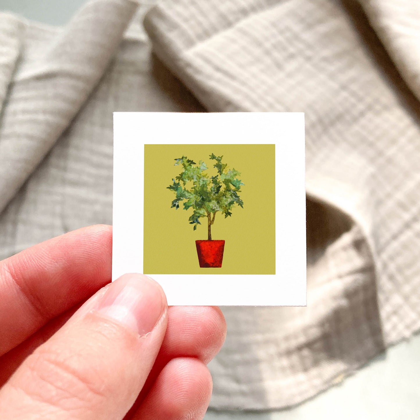 Mini 1" Ficus Houseplant, Benjamin Fig Watercolor Print