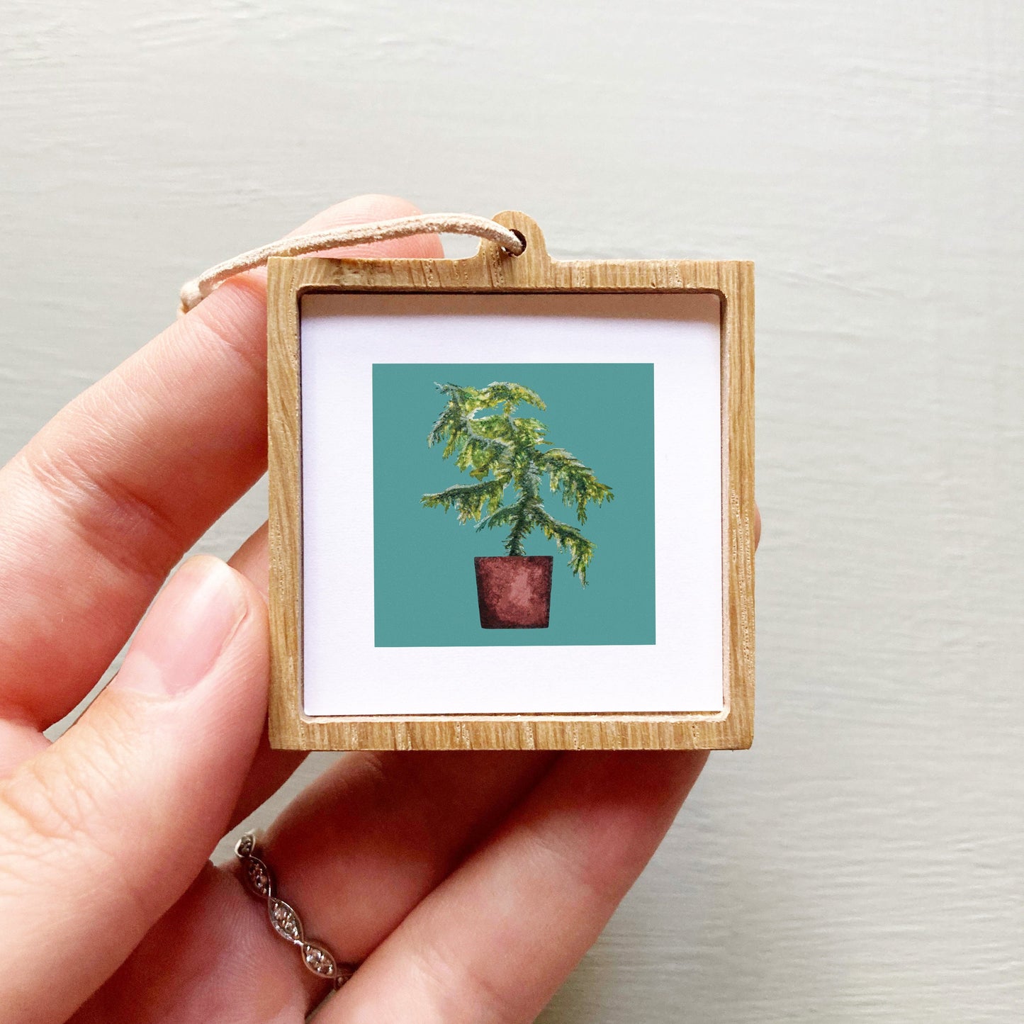 Mini 1" Norfolk Island Pine Houseplant Watercolor Print
