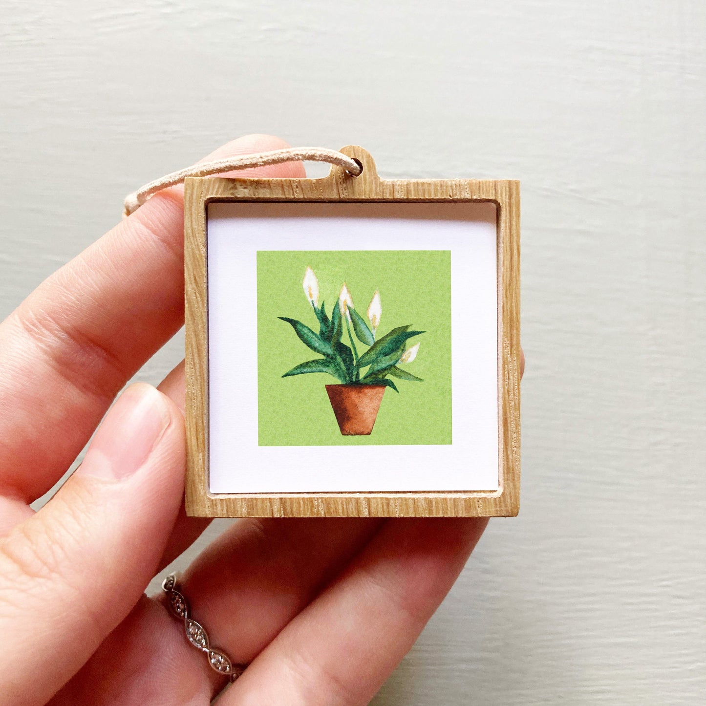 Mini 1" Peace Lily Houseplant Watercolor Plant