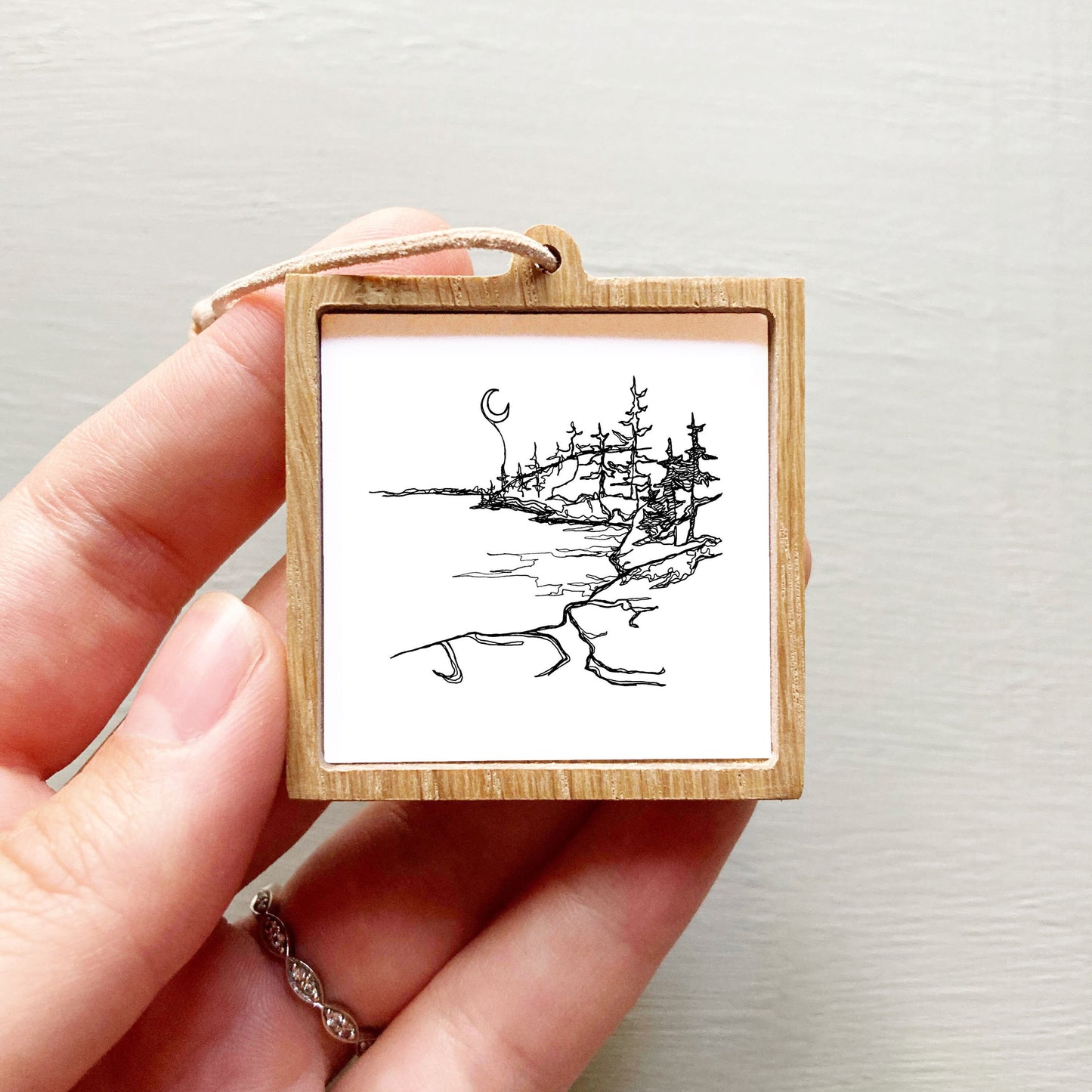 Mini Isle Royale National Park, Michigan Print