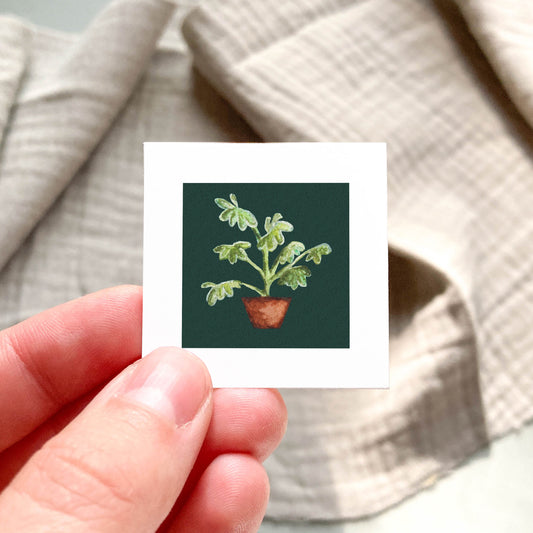 Mini 1" Schefflera Umbrella Plant Houseplant Watercolor Print