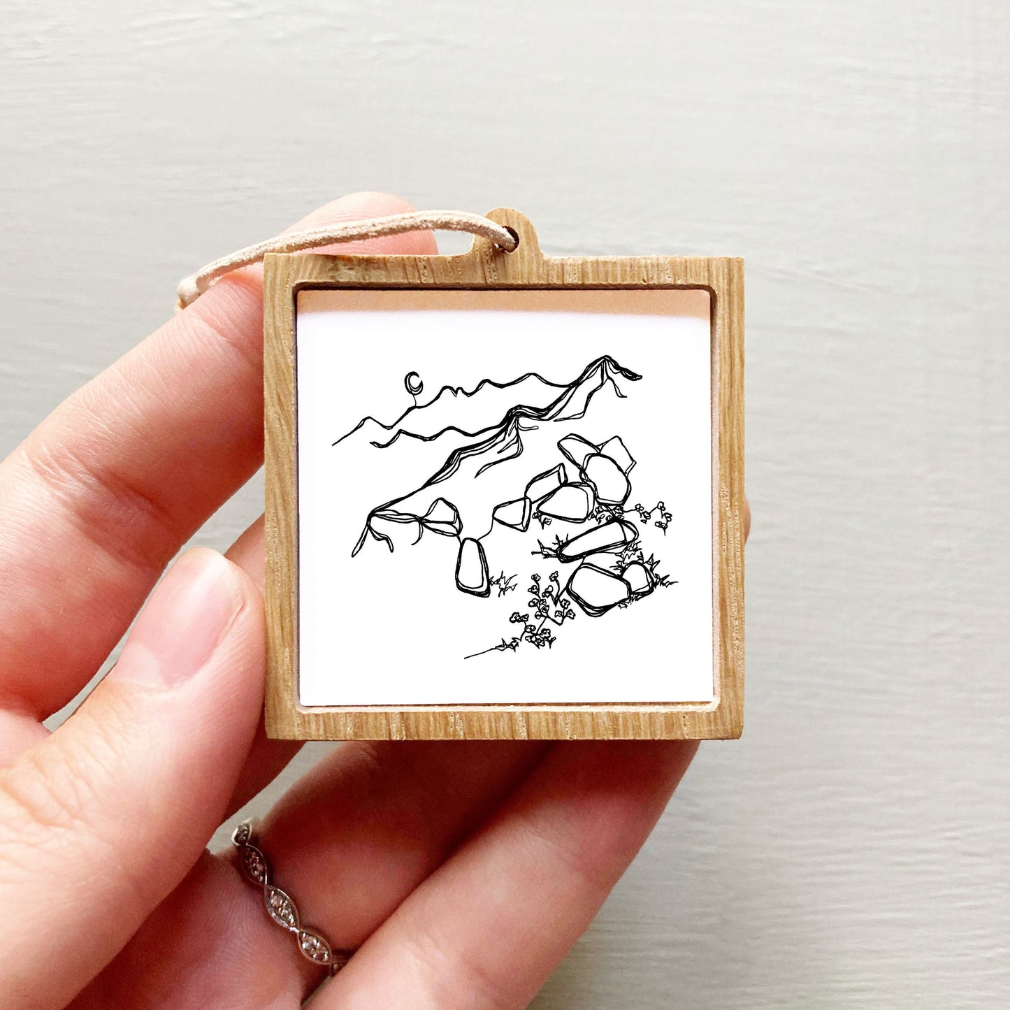 Mini Olympic National Park, Washington Print